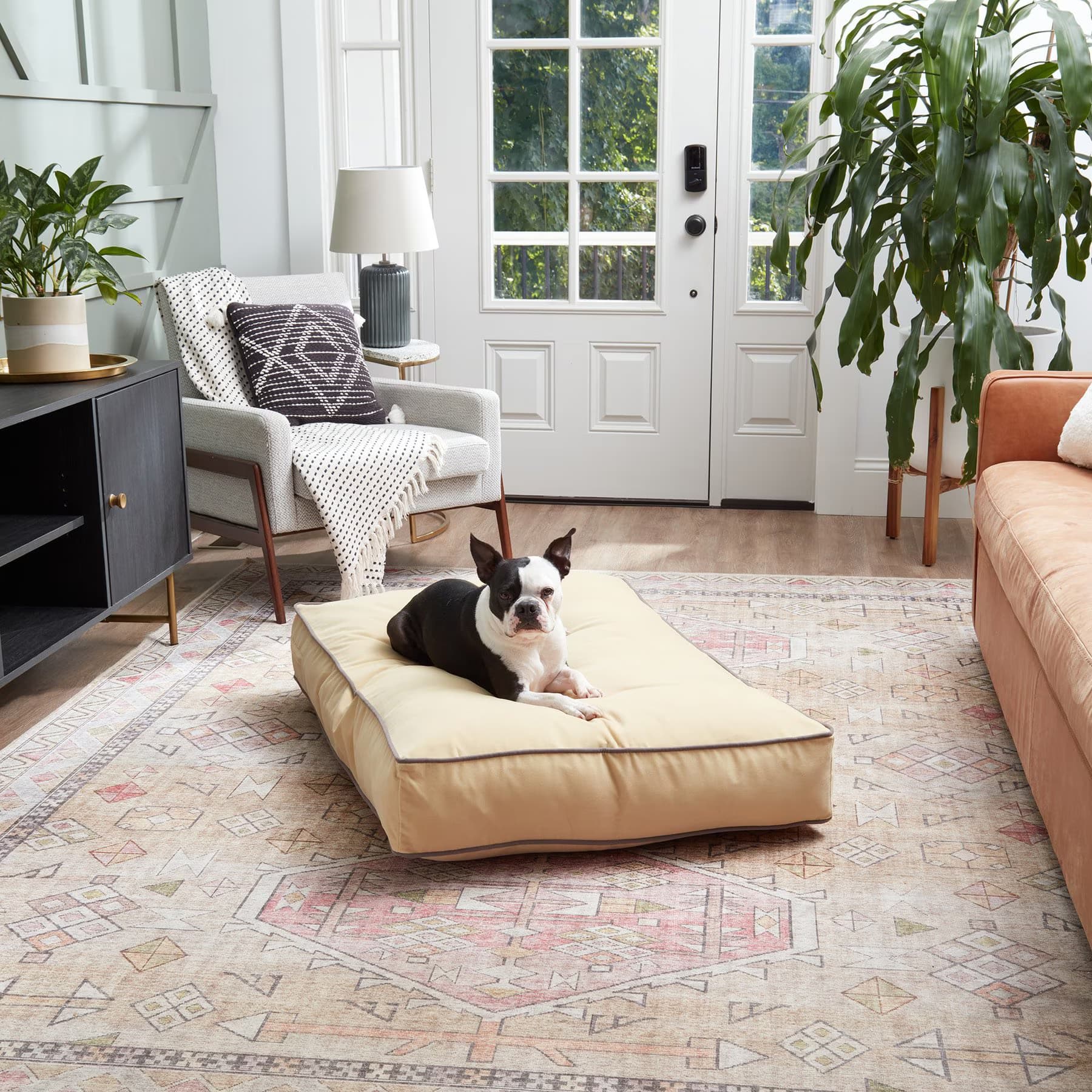 Happy Hounds Happy Hounds Bailey Rectangle Pillow Dog Bed with Removable Cover, Cream, Medium