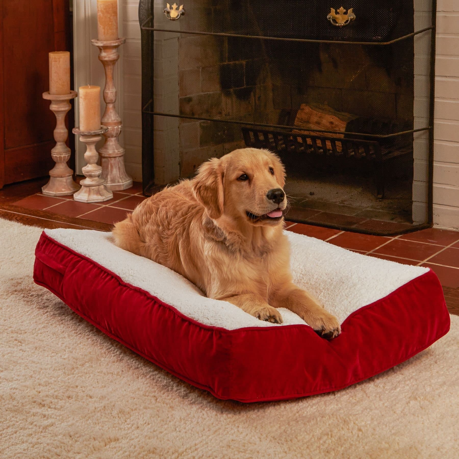 Happy Hounds Happy Hounds Bailey Rectangle Pillow Dog Bed with Removable Cover, Crimson, X-Small