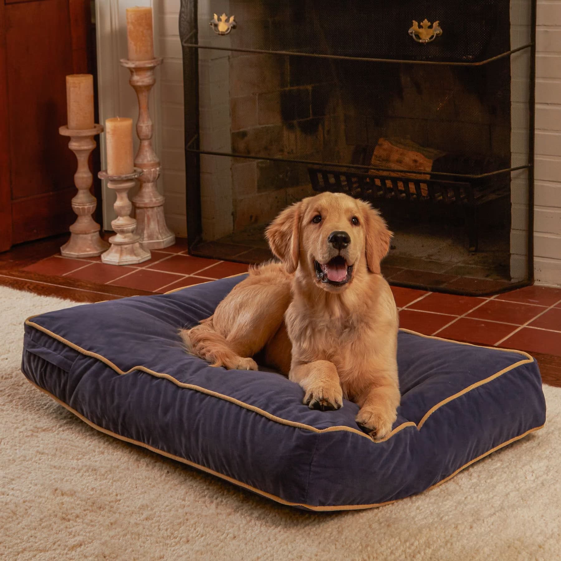 Happy Hounds Happy Hounds Bailey Rectangle Pillow Dog Bed with Removable Cover, Denim, X-Small