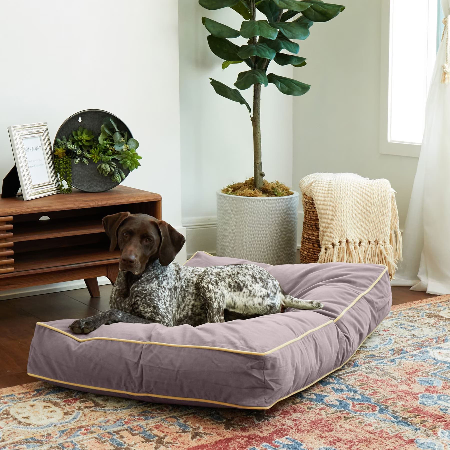 Happy Hounds Happy Hounds Bailey Rectangle Pillow Dog Bed with Removable Cover, Smoke, Medium