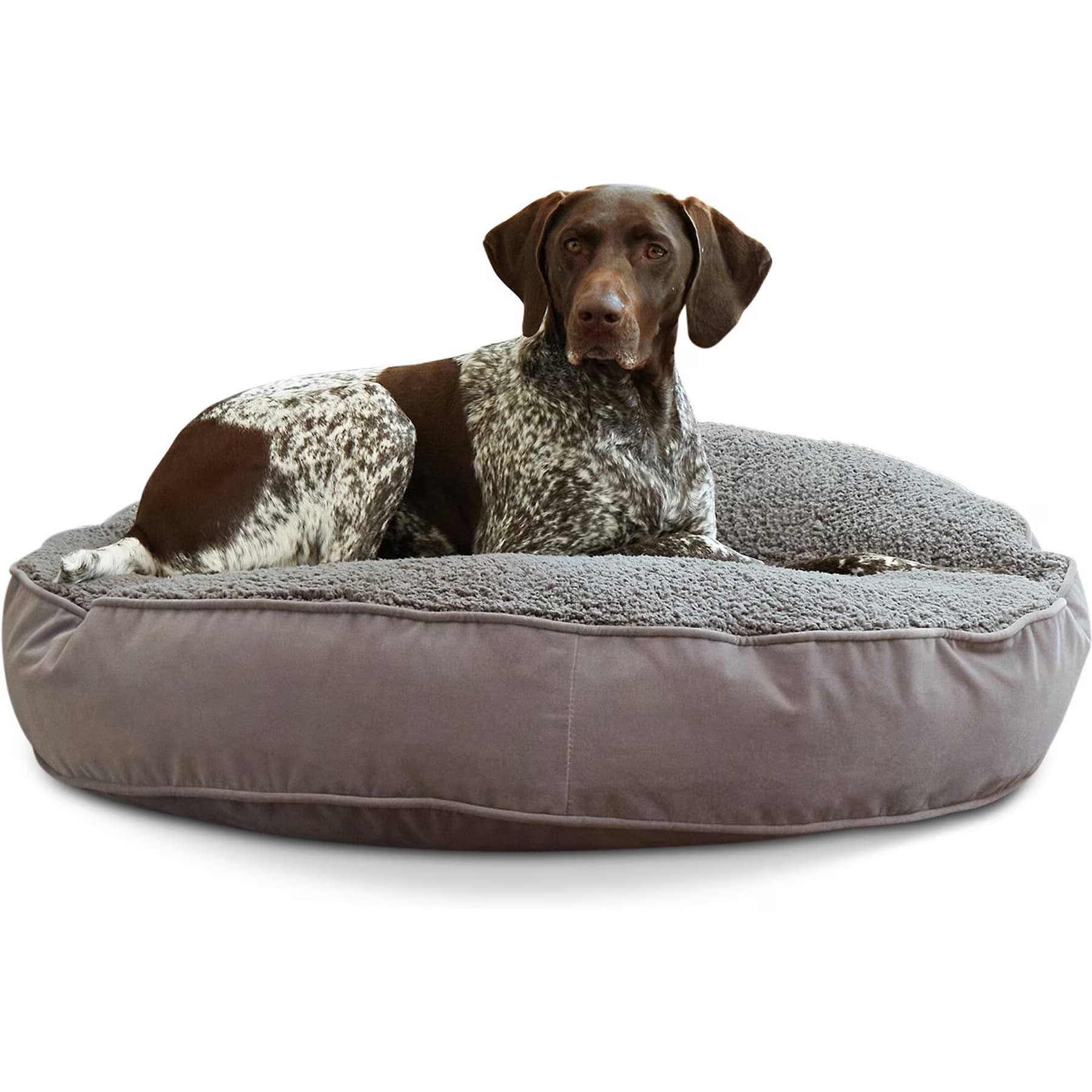 Happy Hounds Happy Hounds Scooter Deluxe Round Pillow Dog Bed with Removable Cover, Gray, Medium