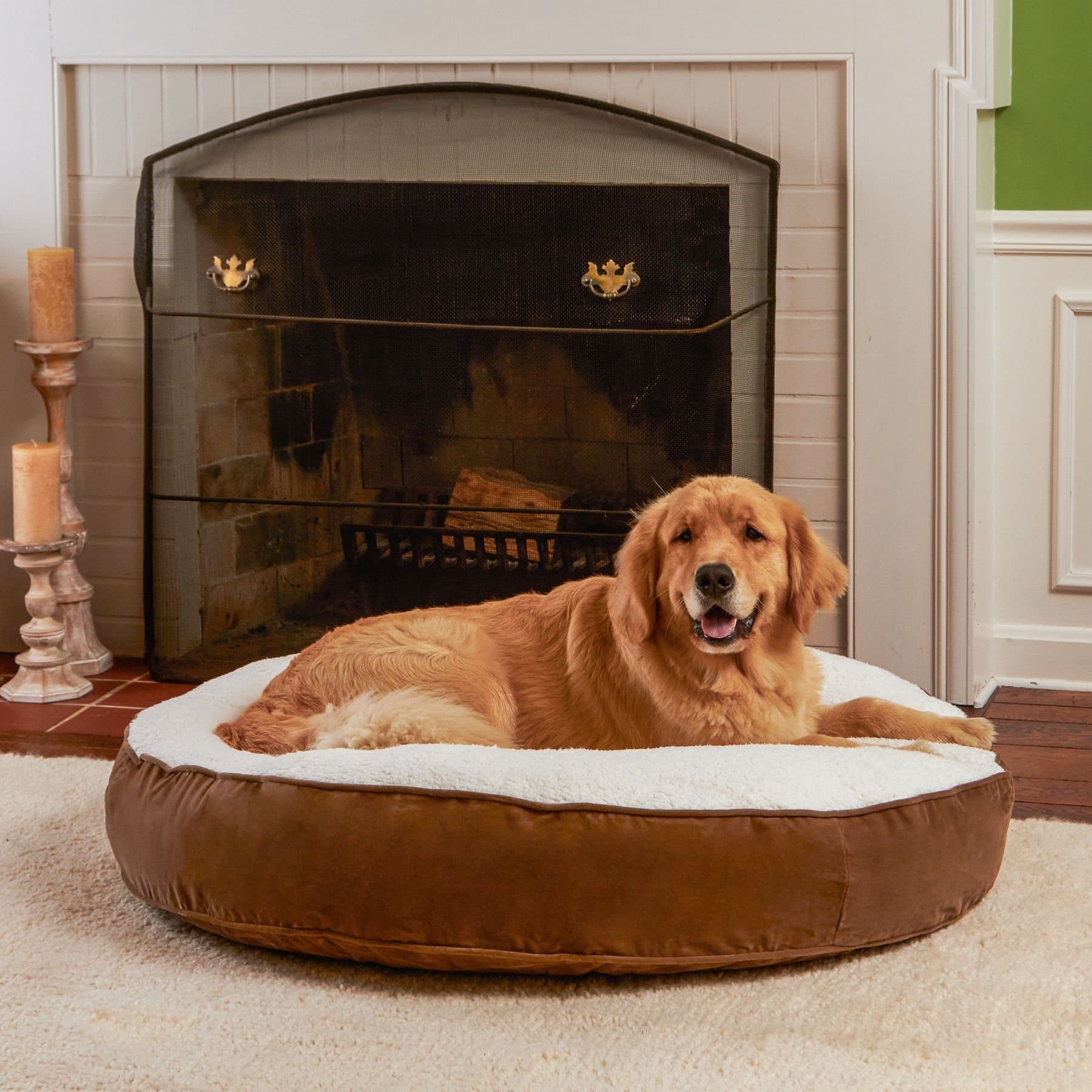 Happy Hounds Happy Hounds Scooter Deluxe Round Pillow Dog Bed with Removable Cover, Latte, X-Small