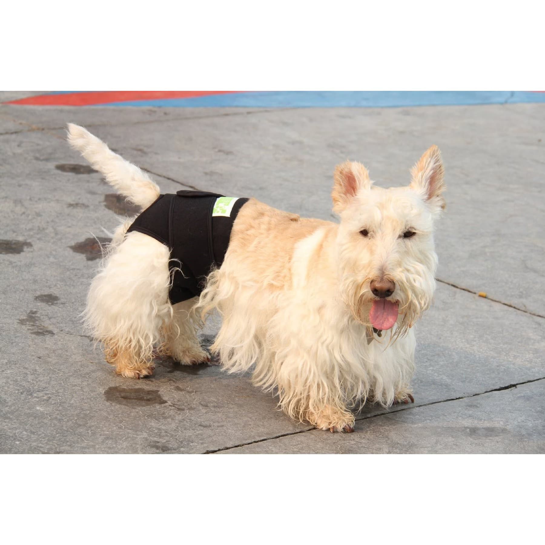 Healers Rear Anxiety Vest for Dogs, XX-Small — view 4