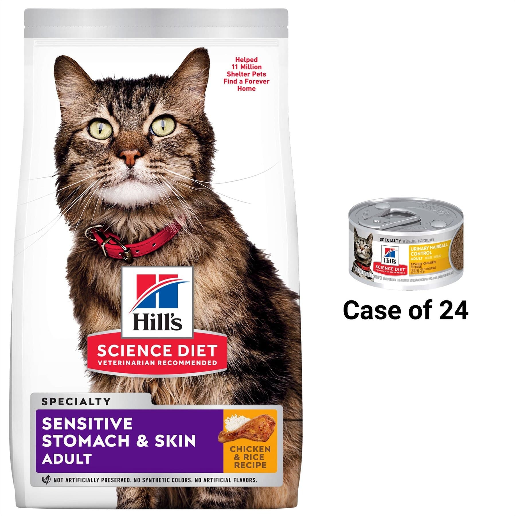 Hill's Science Diet Hill's Science Diet Adult Sensitive Stomach & Skin Chicken & Rice Recipe Dry Cat Food