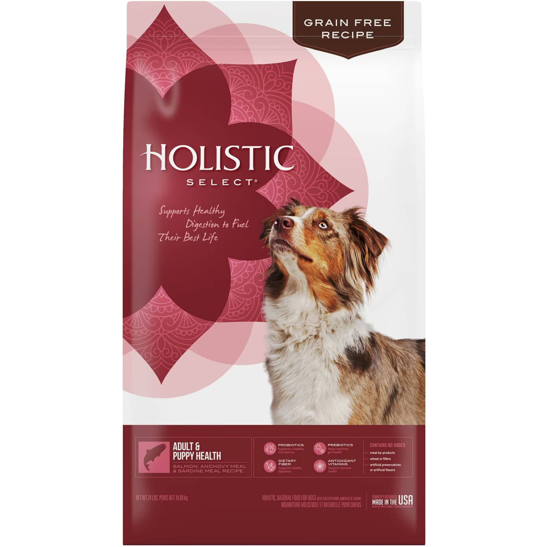 Holistic Select Adult & Puppy Grain-Free Salmon, Anchovy & Sardine Meal Recipe Dry Dog Food — view 3