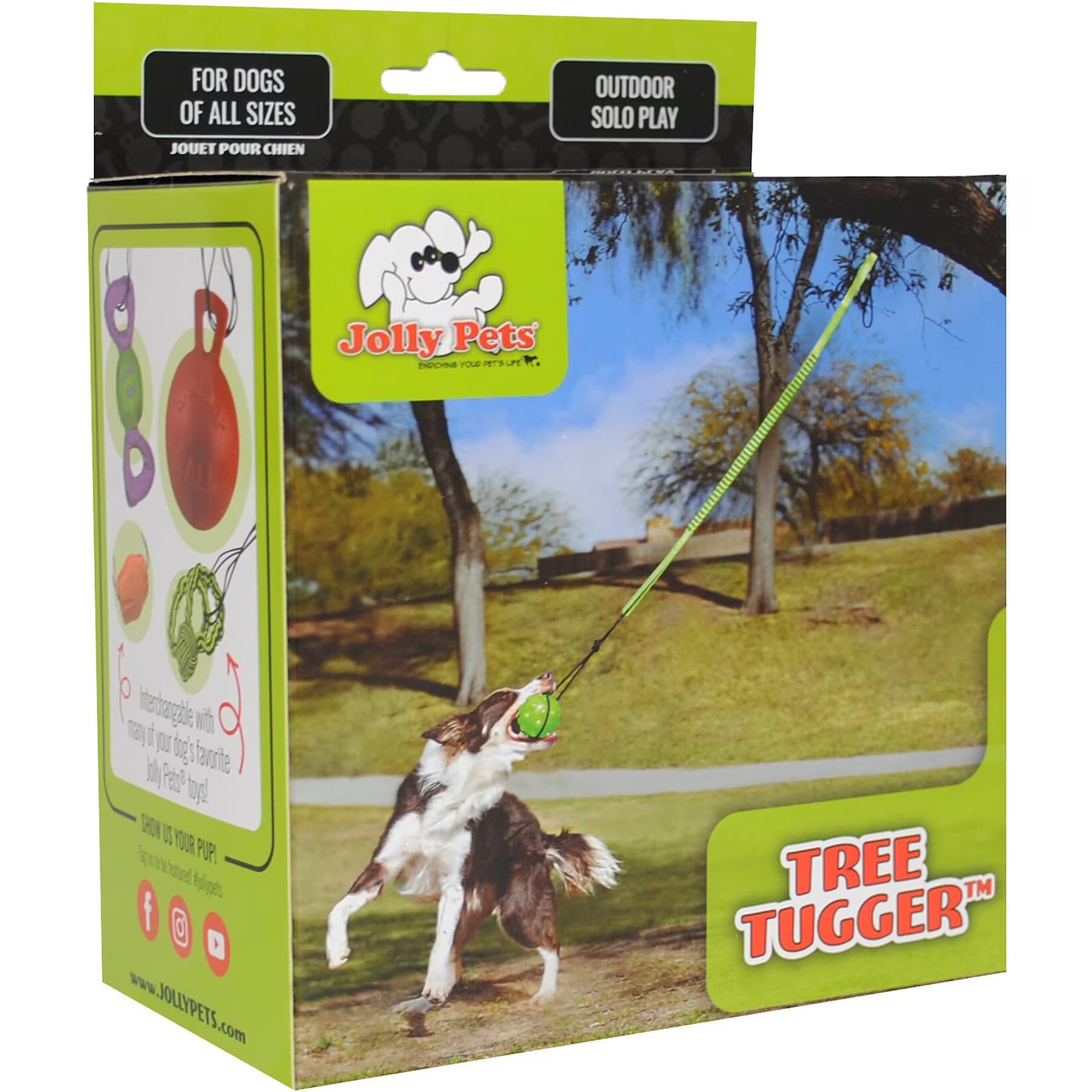 Jolly Pets Jolly Pets Tree Tugger Rope Tug Dog Toy