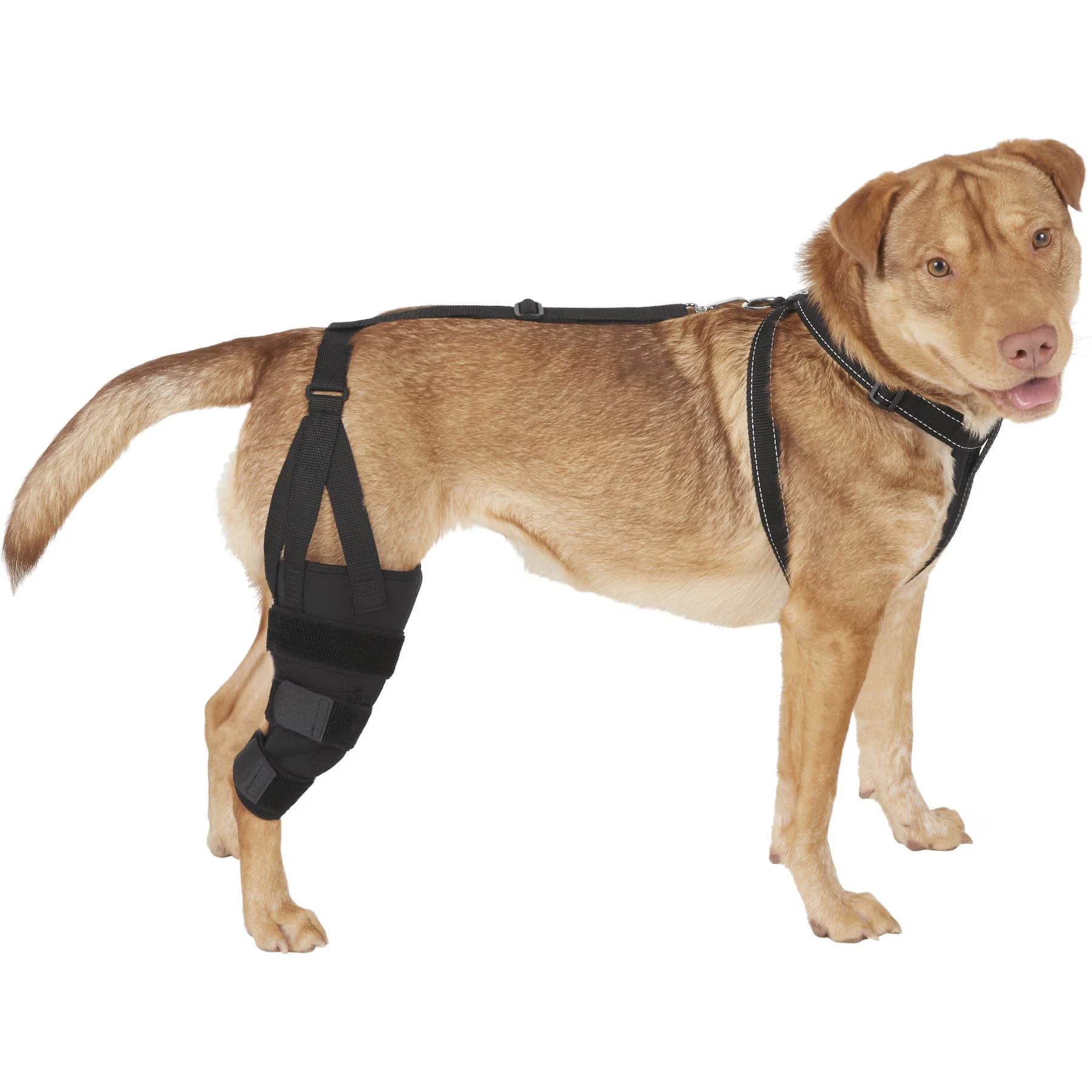 Labra Right Leg Dog Knee Brace, X-Large — view 3