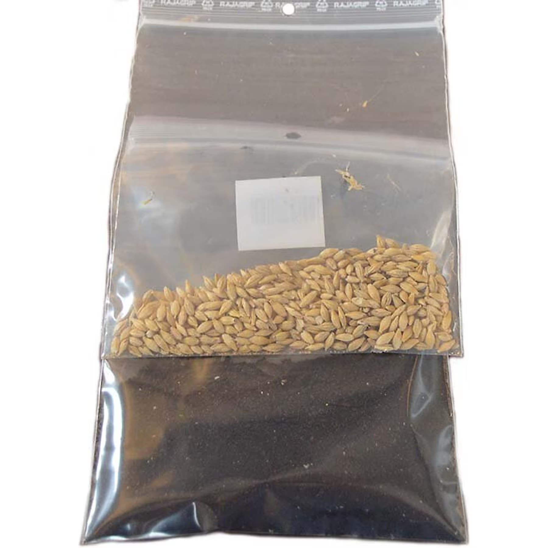 Miaustore Miaustore Cat Grass Growing Kit