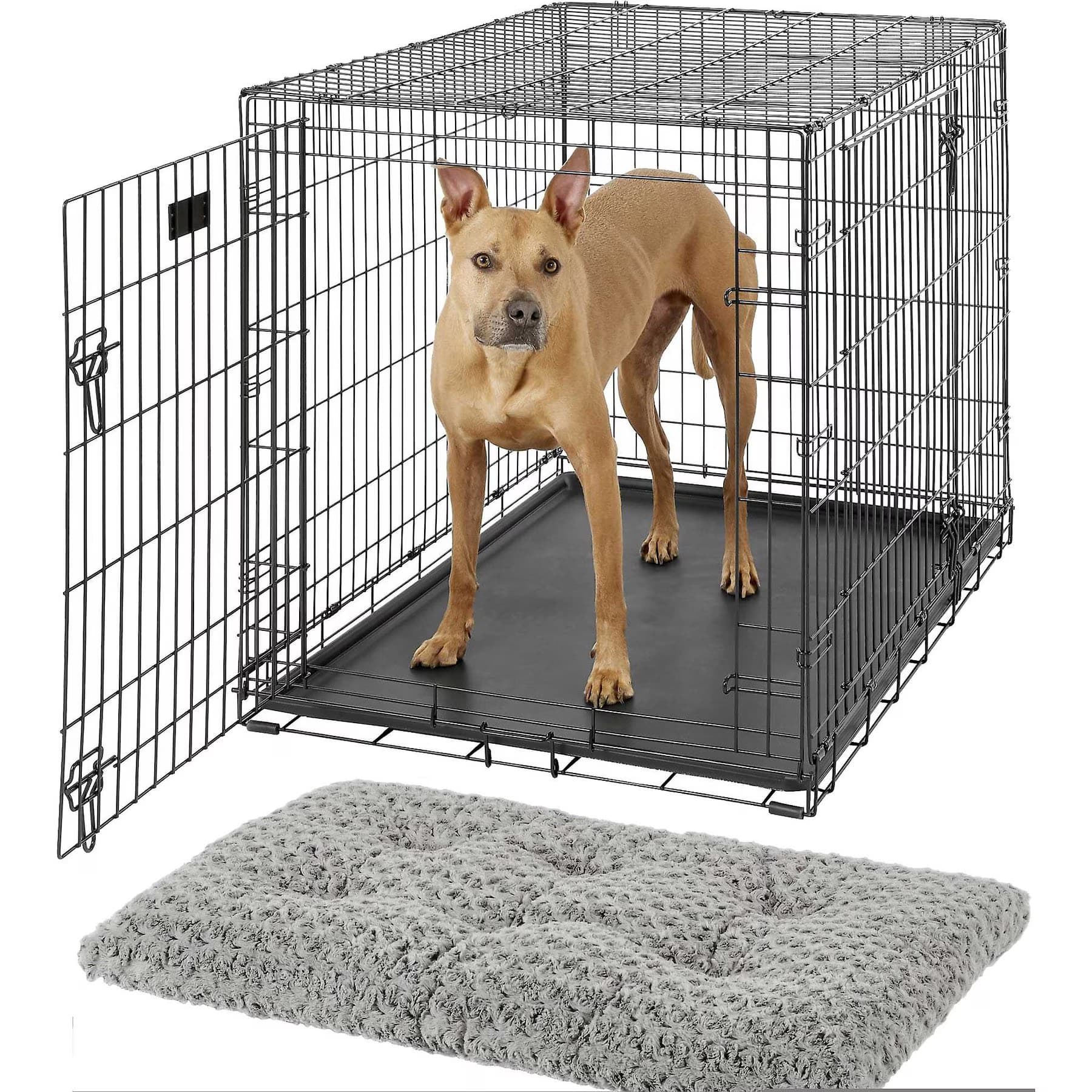 MidWest iCrate Fold & Carry Double Door Collapsible Wire Crate, 22 inch + Quiet Time Ombre Swirl Dog Crate Mat, Grey, 22-in — view 5