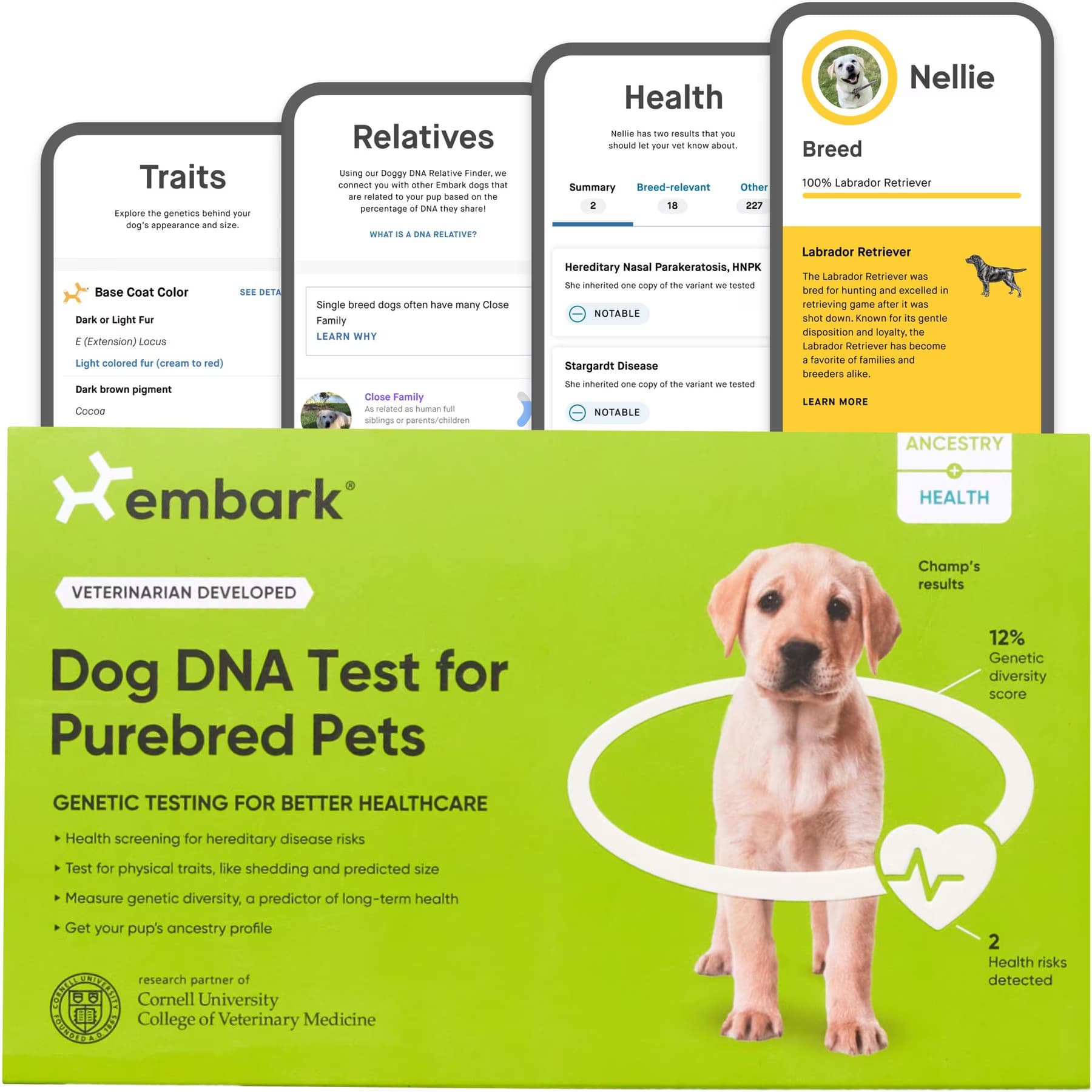 Embark Embark Purebred Breed ID & Health Dog DNA Test Kit — Purebred Breed & Health Test