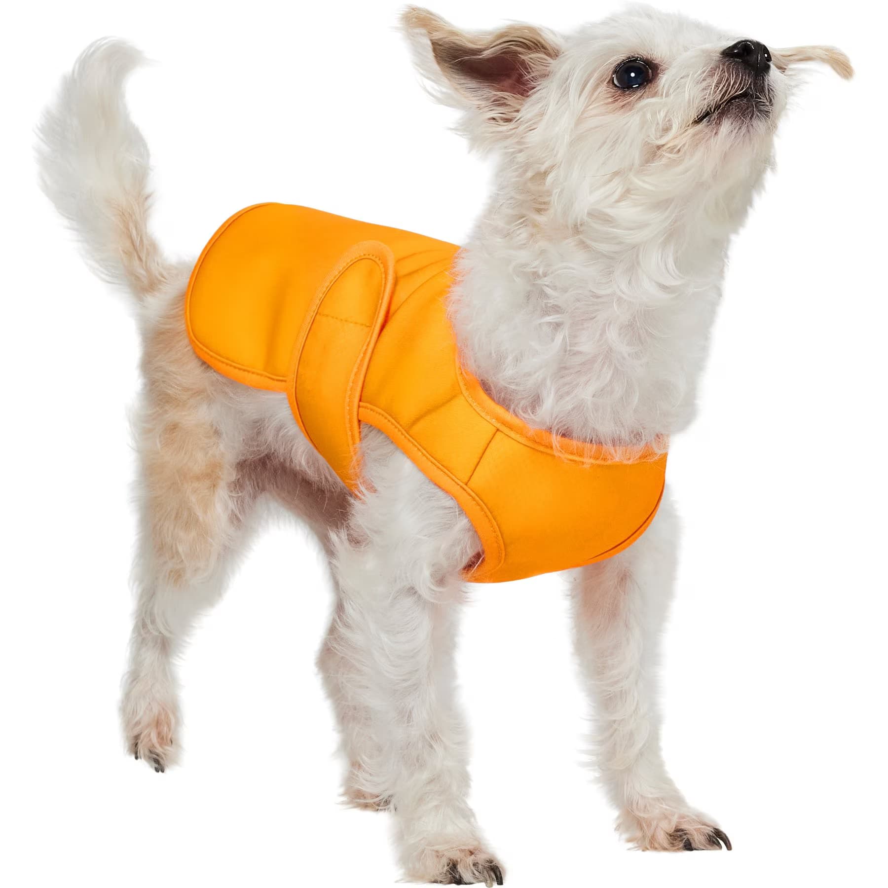 Frisco Summer UPF 45 Cooling Dog Vest, Orange, XXX-Large — view 2
