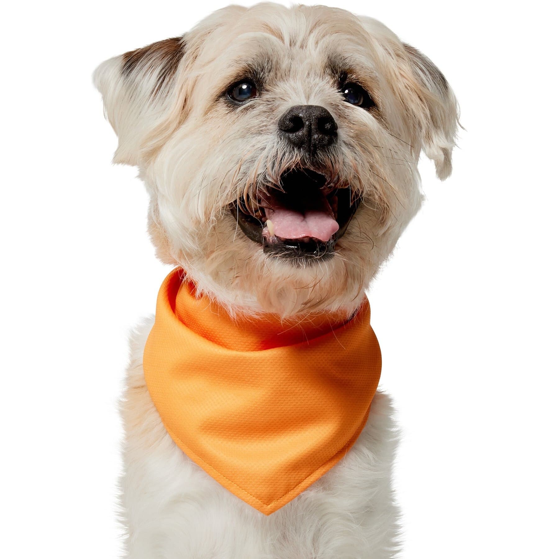 Frisco Frisco Summer Cooling Pullover Dog Gaitor, Orange, X-Large/XX-Large