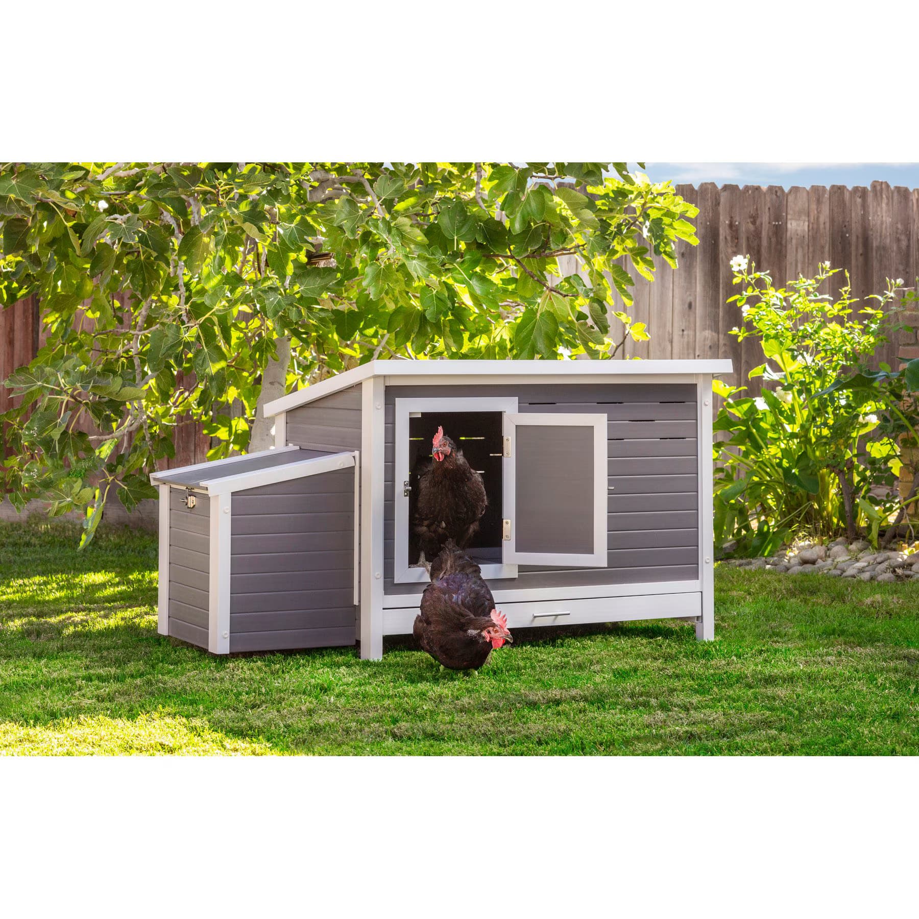 New Age Pet New Age Pet ECOFLEX Fontana Premier Chicken Barn