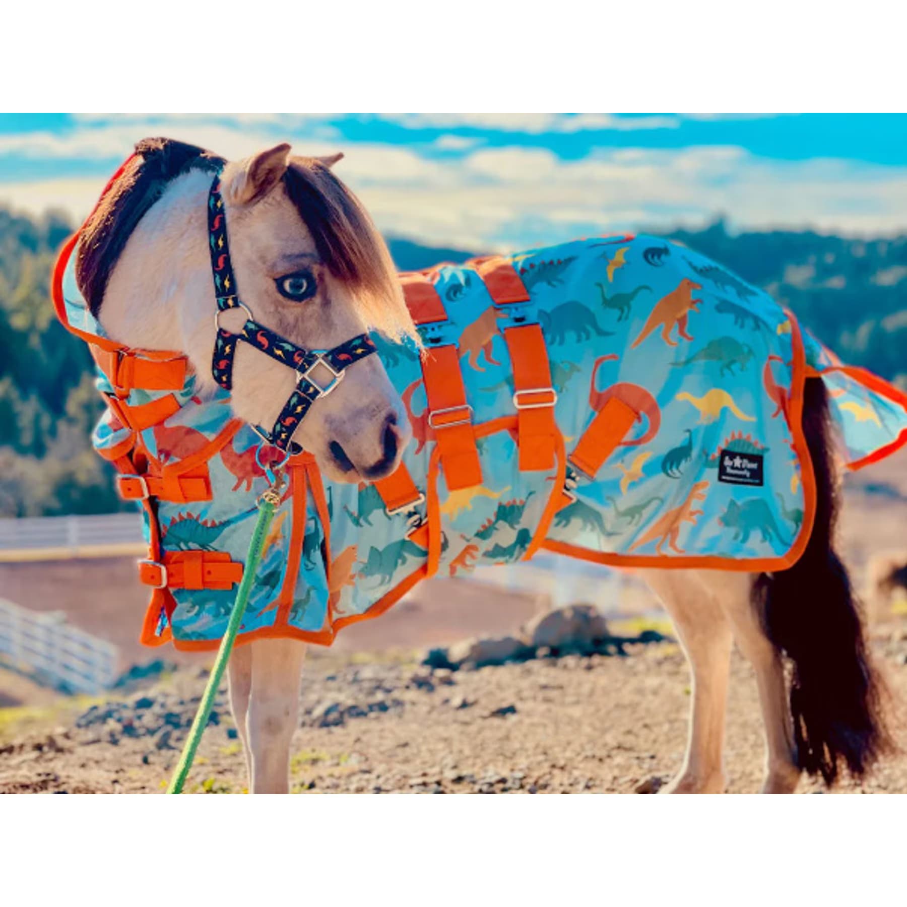Star Point Horsemanship Star Point Horsemanship Hooded Printed Mesh UV Horse Fly Sheet, Dinosaur, 74 to 76-in