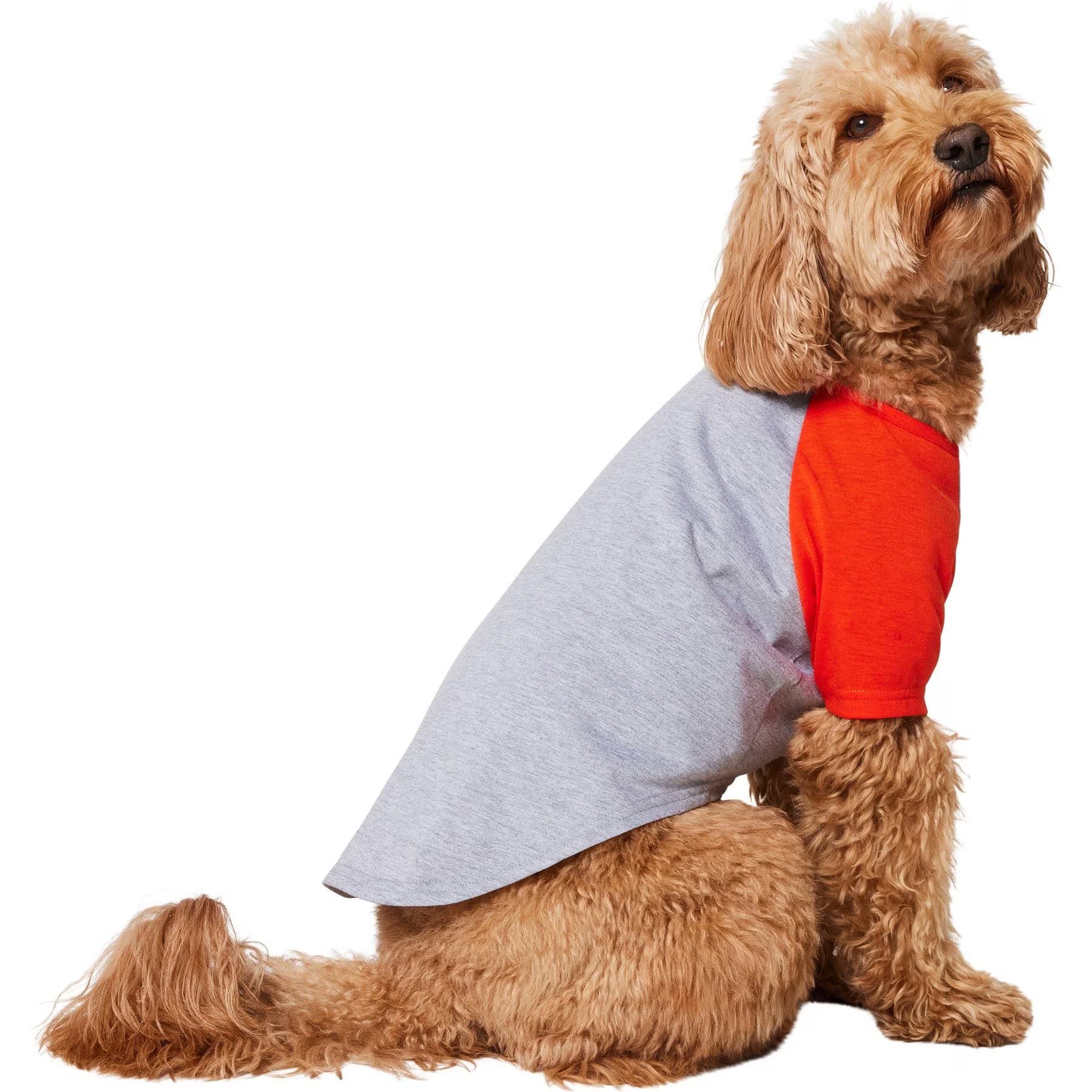 Frisco Baseball Dog & Cat T-Shirt, Red, XX-Large — view 4