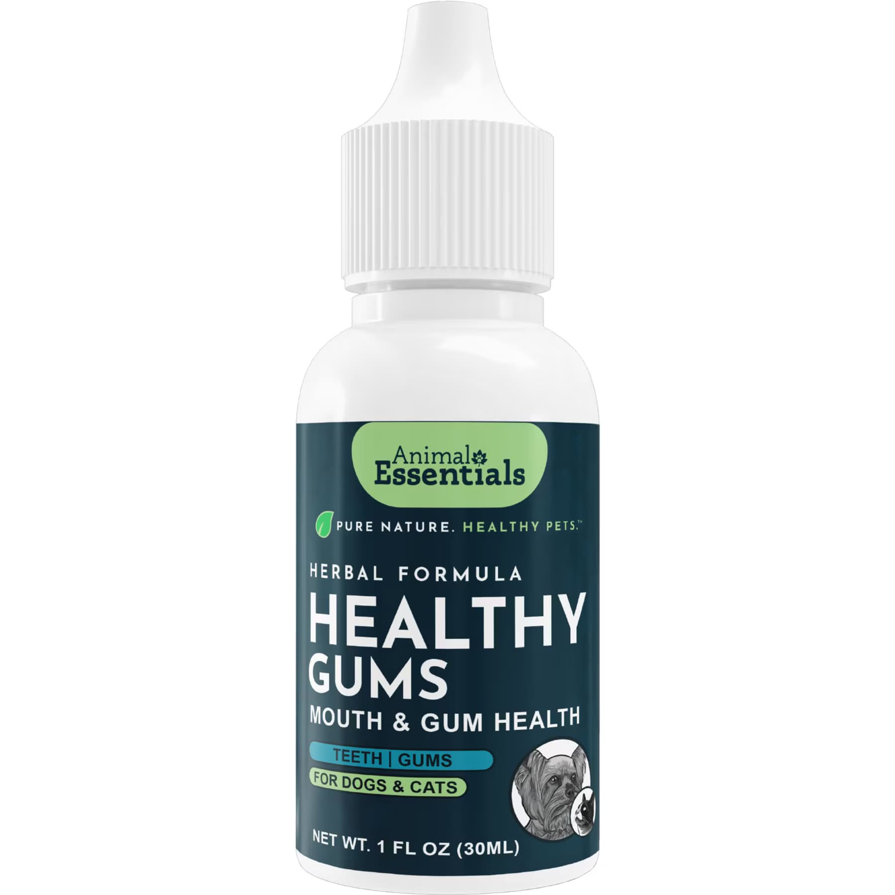 Animal Essentials Animal Essentials Healthy Gums Mouth & Gum Support Dog Supplement, 1-fl oz bottle