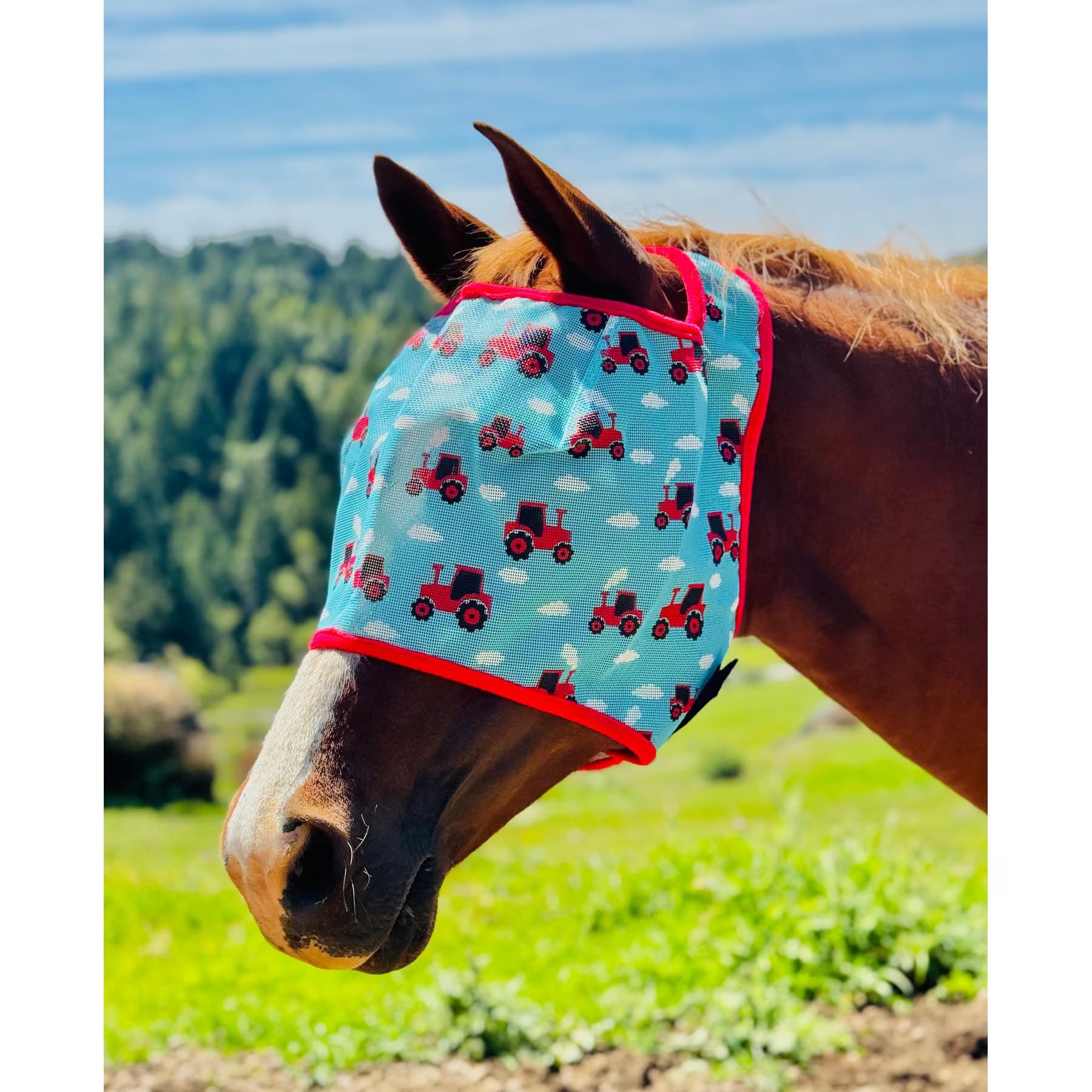 Star Point Horsemanship Star Point Horsemanship Red Tractor UV No Ear Horse Fly Mask, Red Tractor, Average Horse: 14 to 16 hands