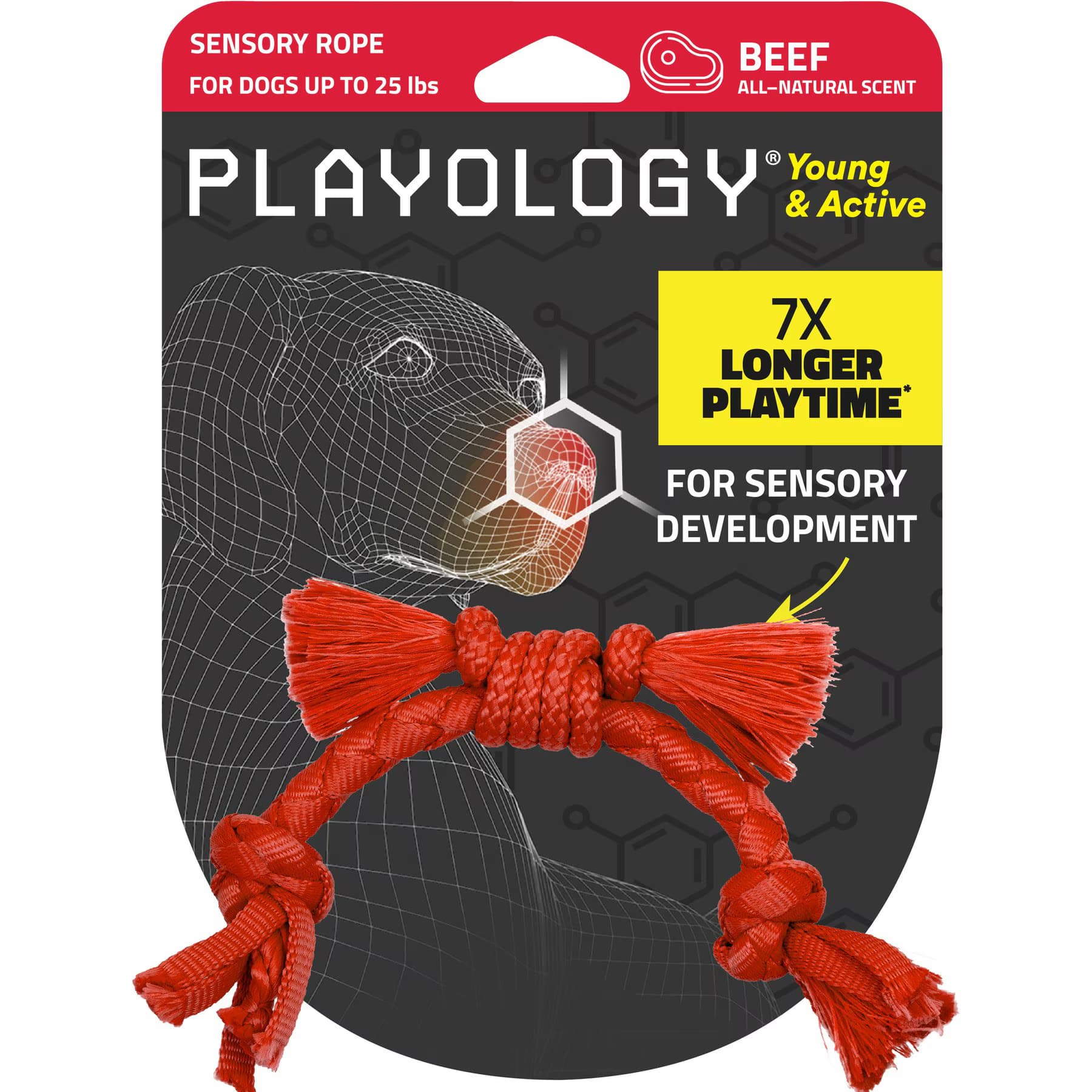 Playology Playology Beef Scented Young & Active Sensory Rope Dog Toy, Small,