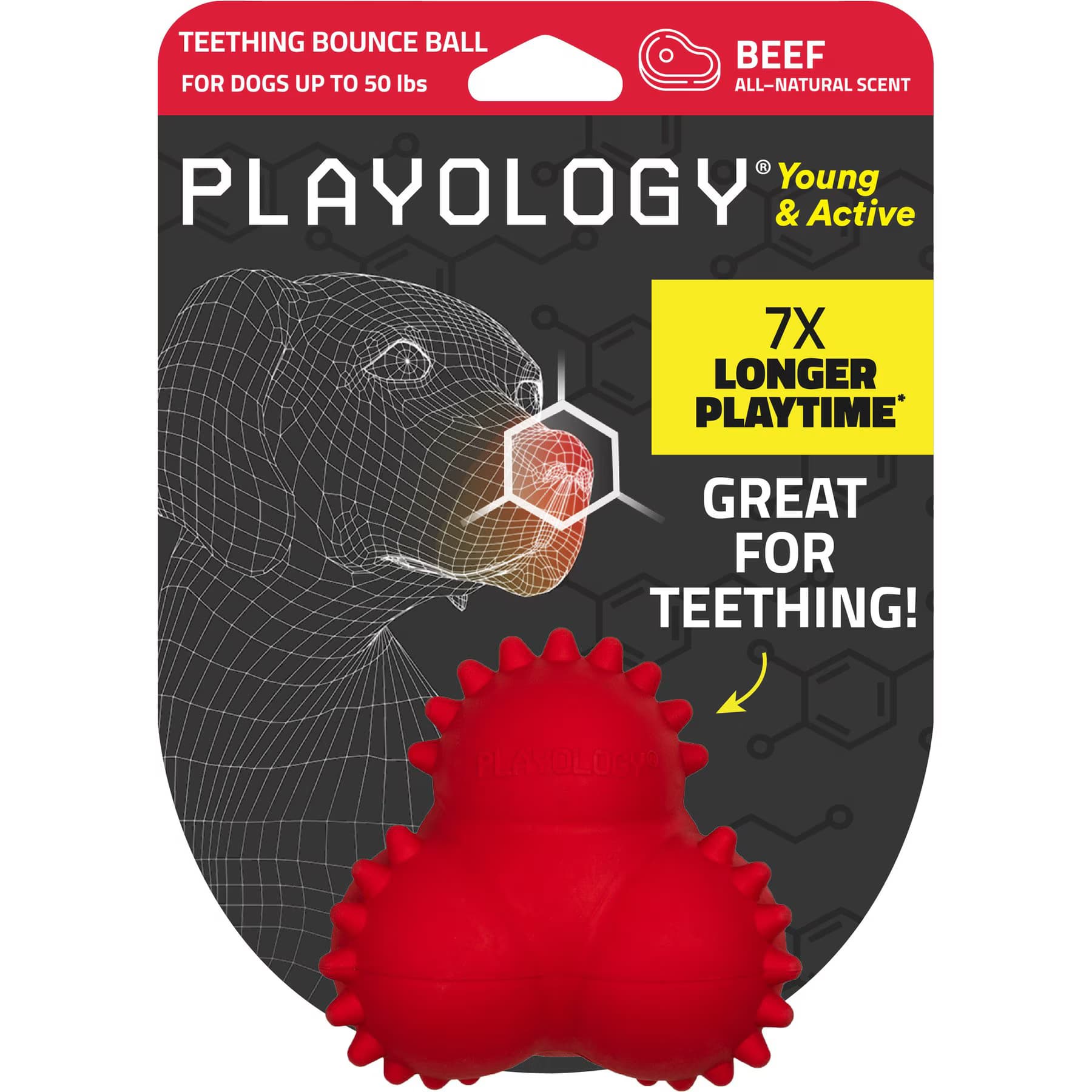 Playology Playology Beef Scented Young & Active Teething Bounce Ball Dog Toy, Medium