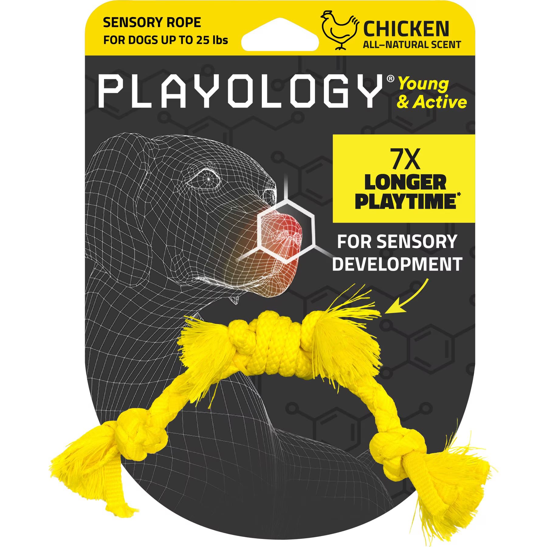 Playology Playology Chicken Scented Young & Active Sensory Rope Dog Toy, Small