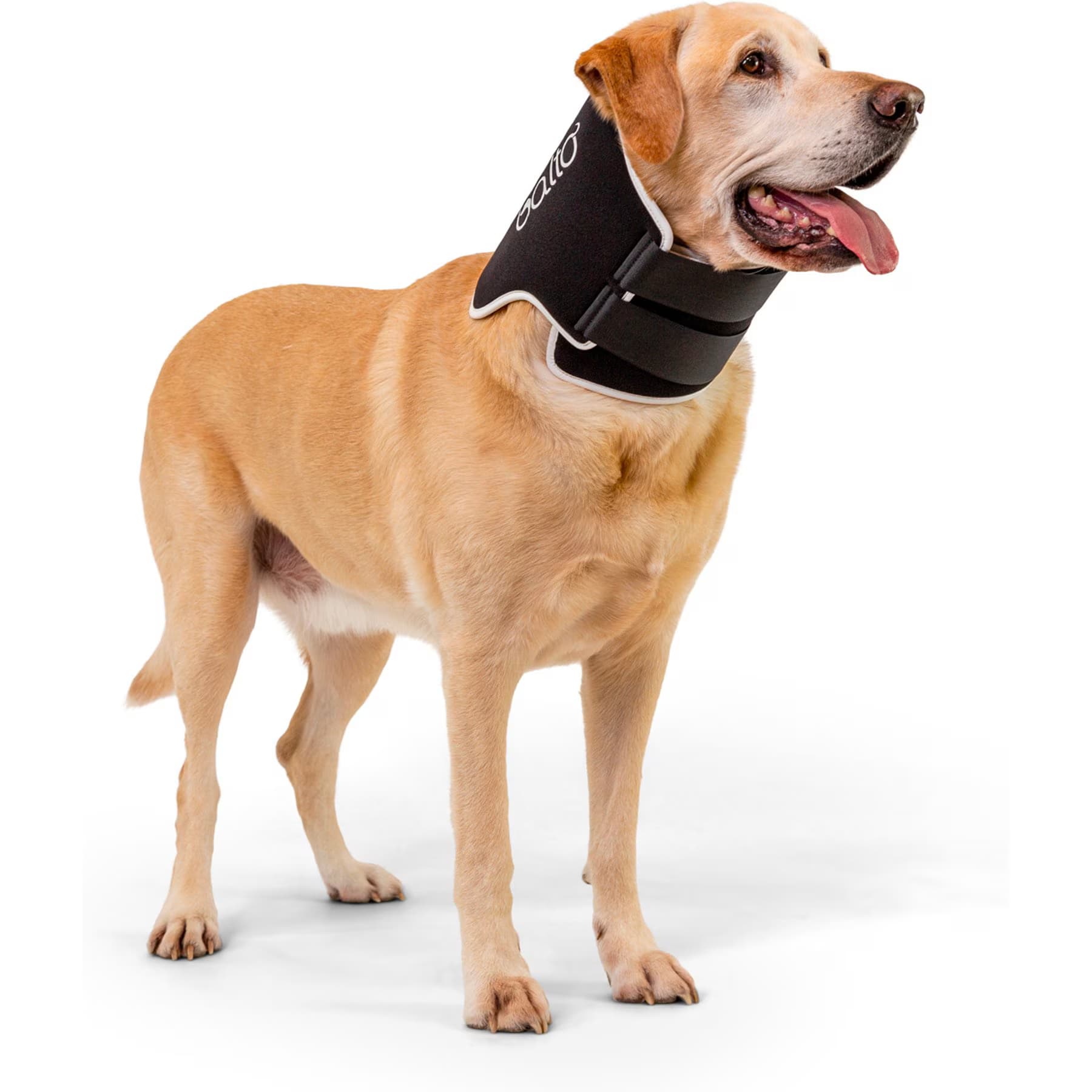 Balto Balto Neck Eco Dog E-Collar Alternative, XX-Small