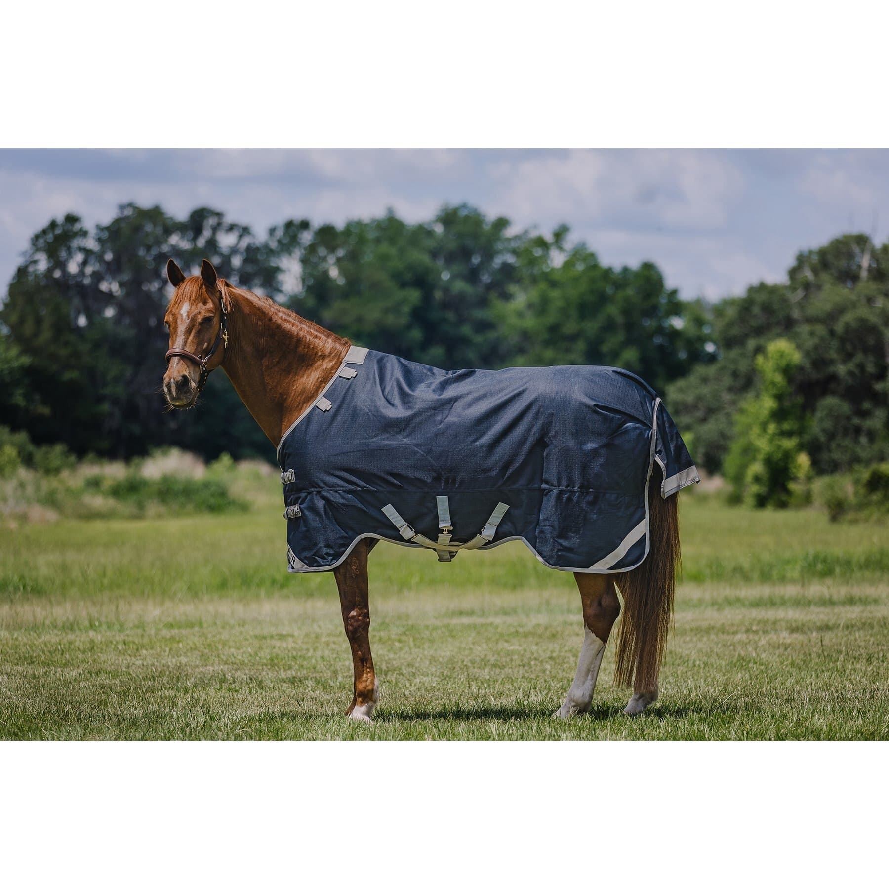 Centaur Centaur TG1 Horse Blanket, Navy, 75