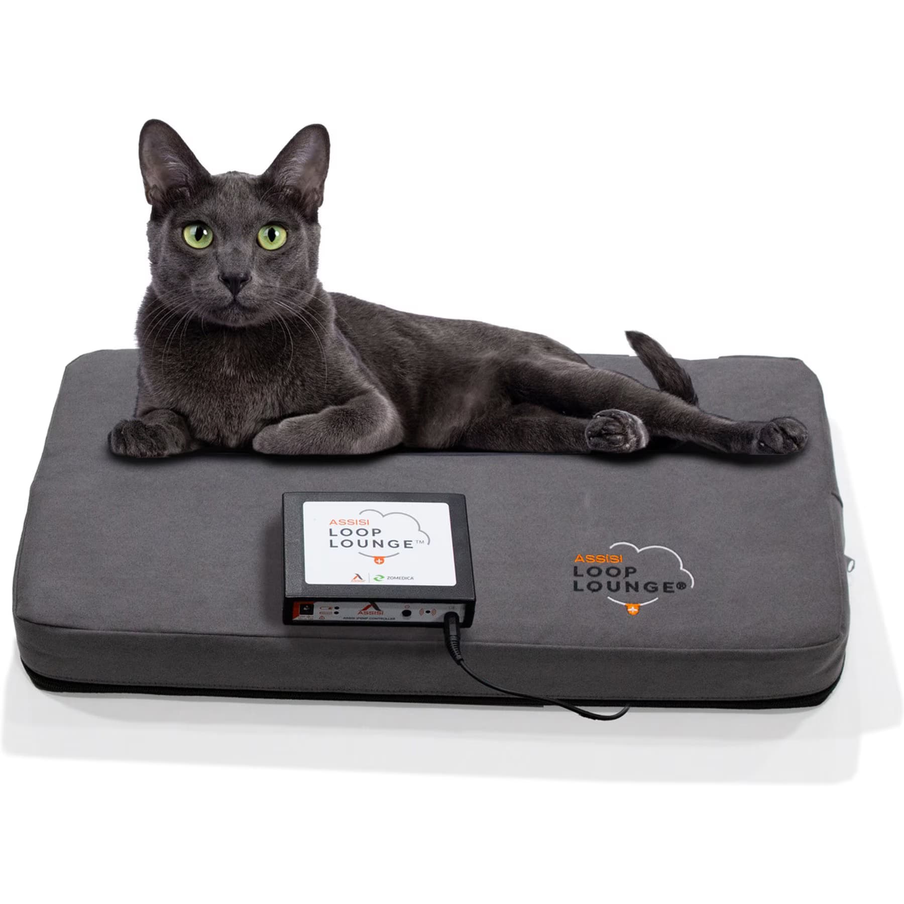 Assisi Animal Health Assisi Animal Health Loop Lounge tPEMF Dog & Cat System, X-Small