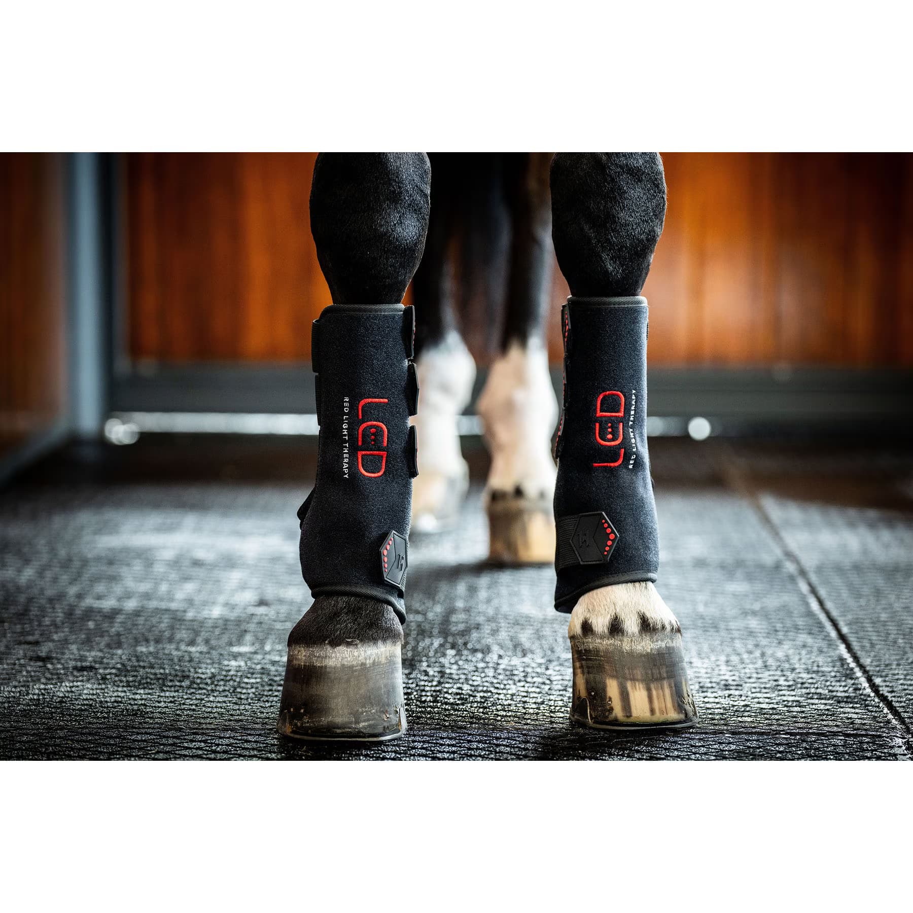 Horseware Ireland Horseware Ireland LED Red Light Therapy Horse Left Leg Wrap, Black, Full