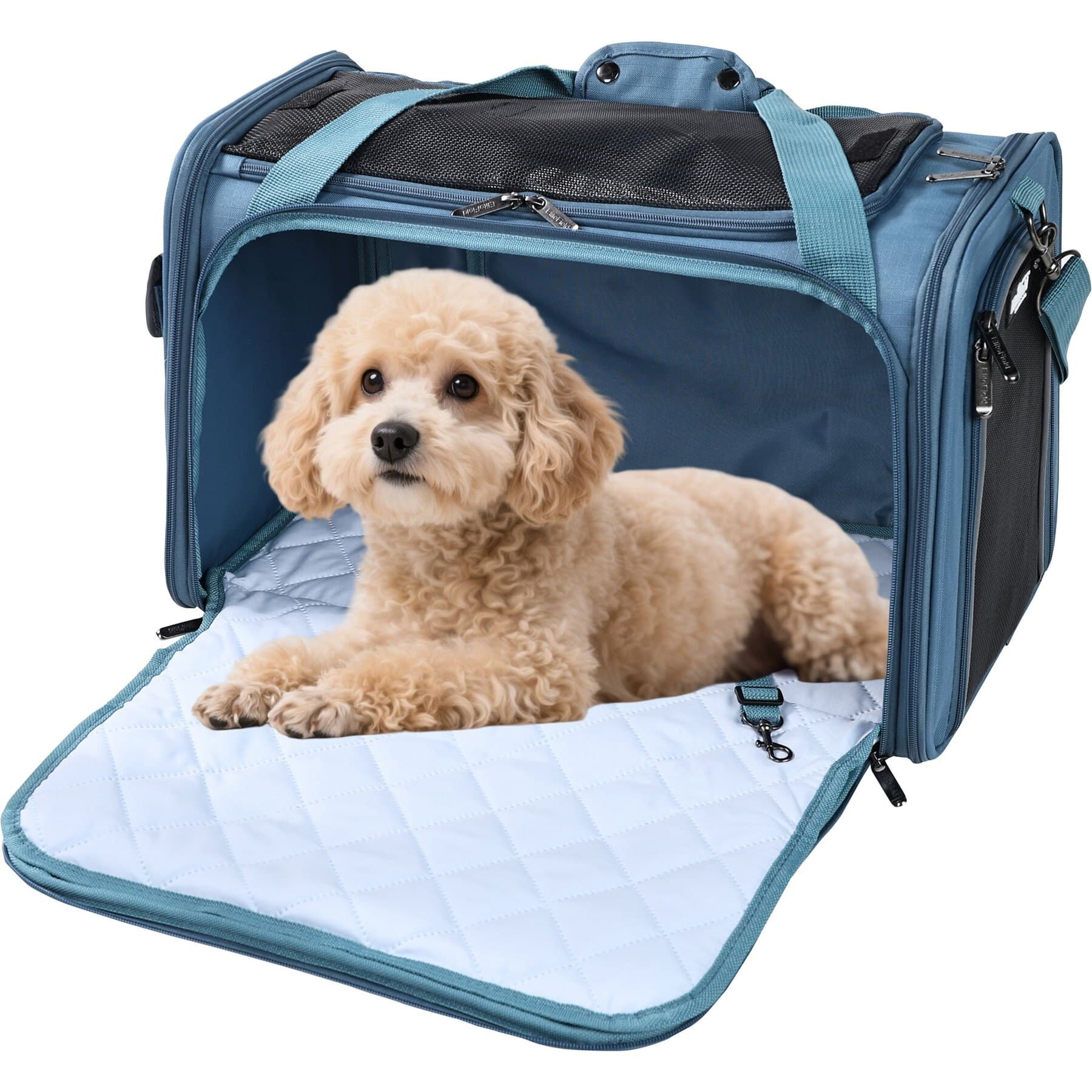 EliteField EliteField Deluxe Soft-Sided Airline-Approved Dog & Cat Carrier Bag, Blue Gray, 20-in