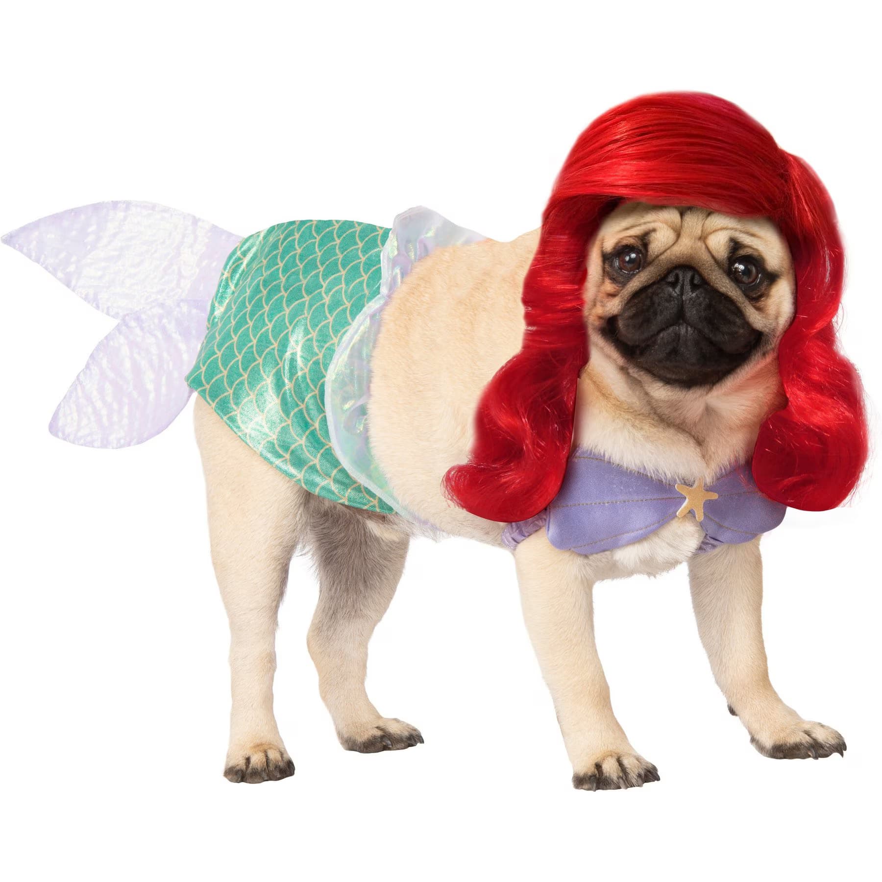 Rubie's Costume Company Rubie’s Costume Company Ariel Disney Princess Dog & Cat Costume, XXX-Large