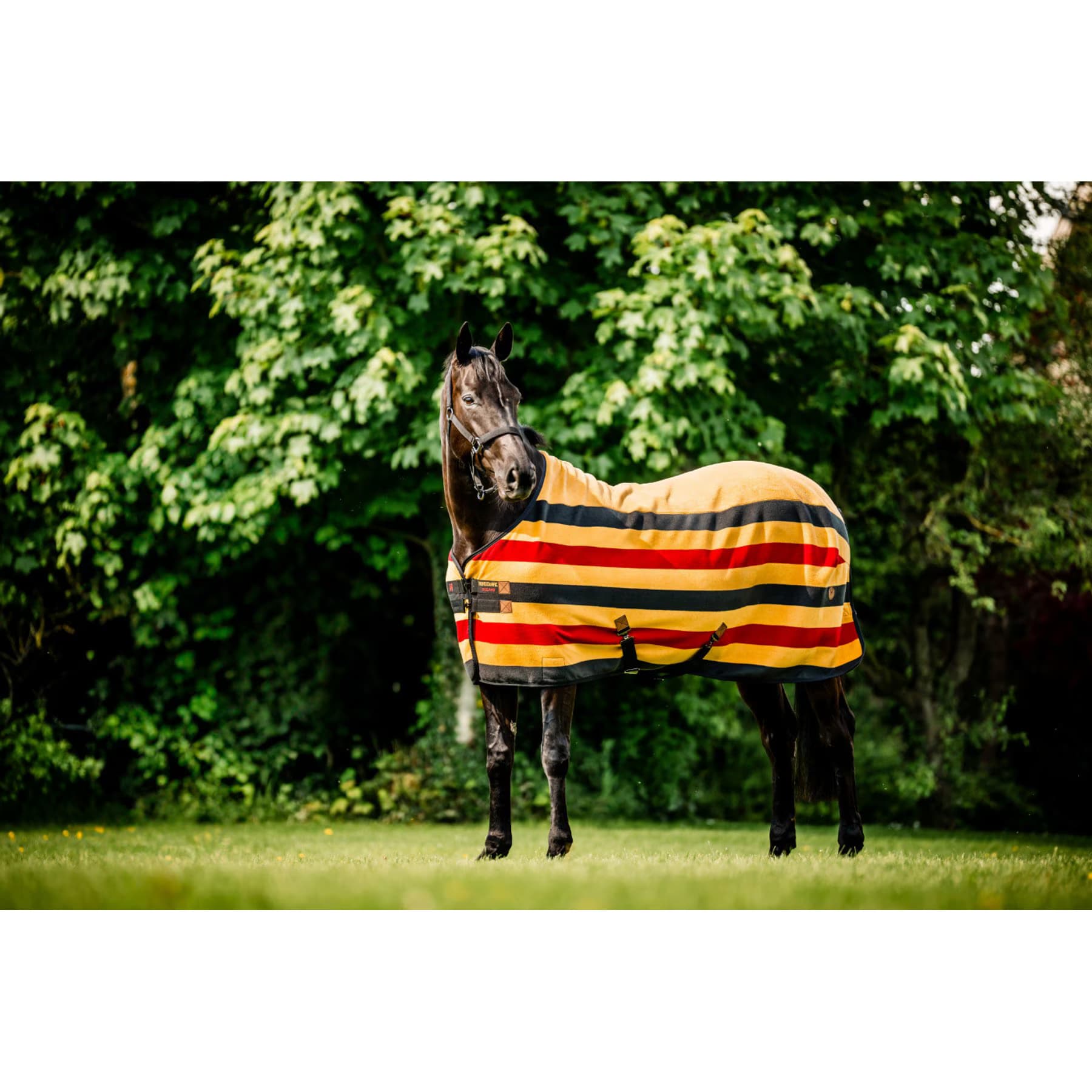 Horseware Ireland Horseware Ireland Horseware Newmarket Fleece Horse Cooler, Witney Gold, 72 inches