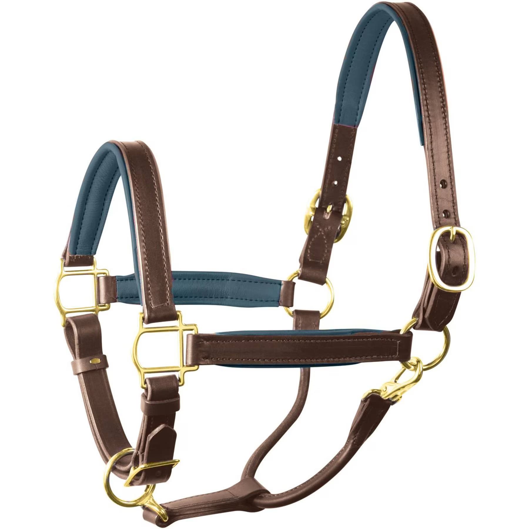 Perri's Leather Perri’s Leather 1-in Padded Horse Halter, Havana/Navy, Horse