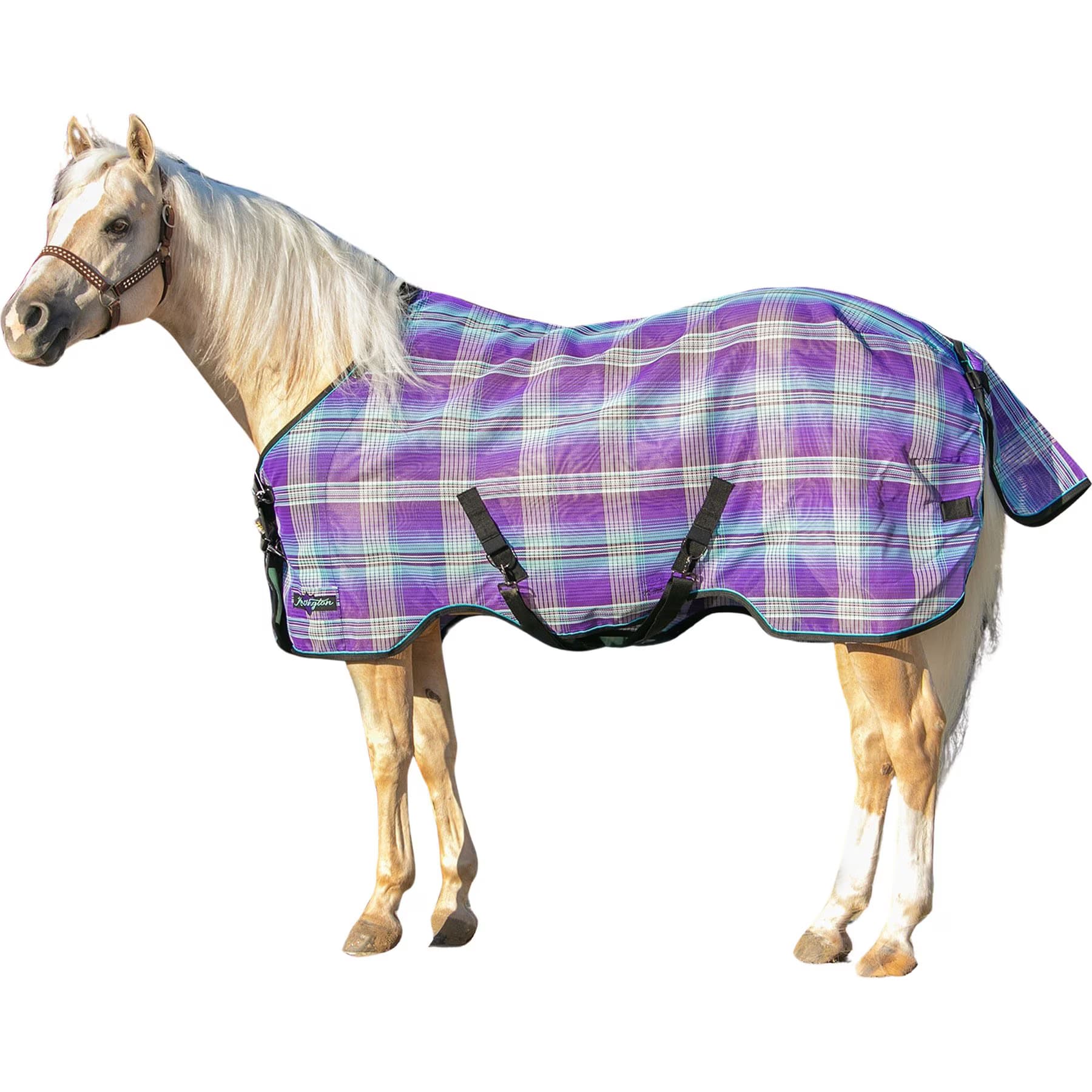 Kensington Protective Products Kensington Protective Products UV Protective Horse Fly Sheet, 84-in, Lavender Mint