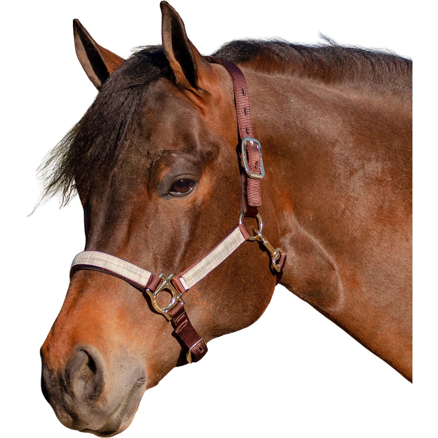 Kensington Protective Products Kensington Protective Products Premium Reflective Horse Nylon Breakaway Halter, Desert Sand, Warmblood
