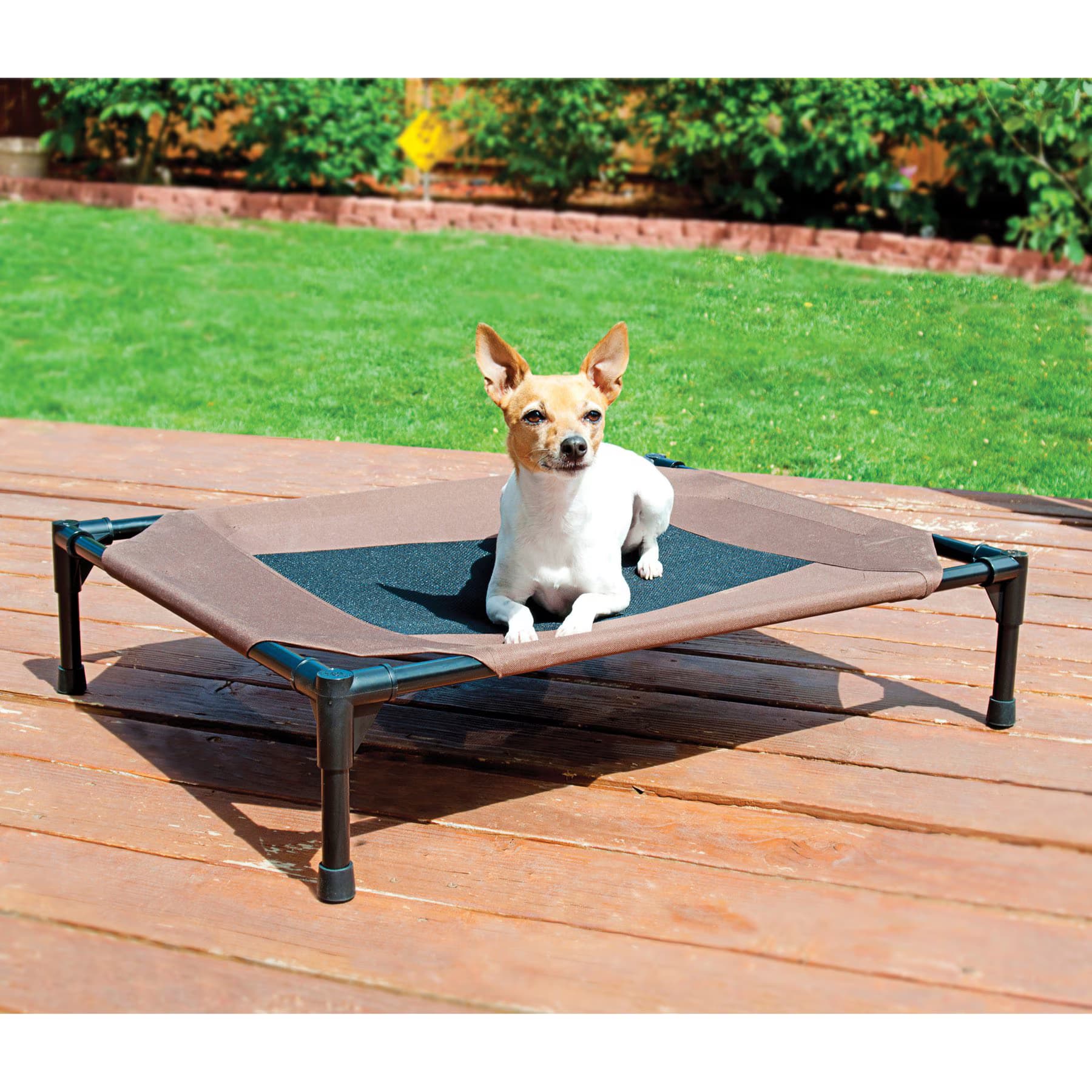 K&H Pet Products K&H Pet Products Original Steel Frame Cot Outdoor Elevated Dog Bed, Chocolate, Medium