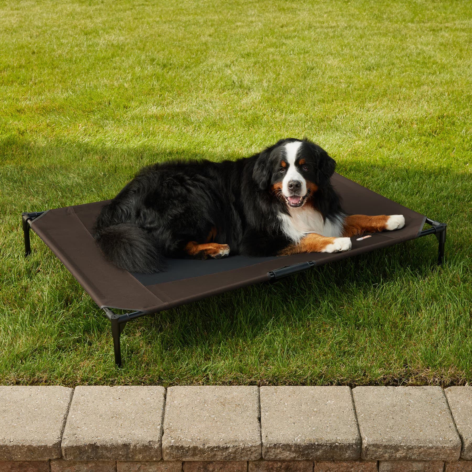 K&H Pet Products K&H Pet Products Original Steel Frame Cot Outdoor Elevated Dog Bed, Chocolate/Black, X-Large
