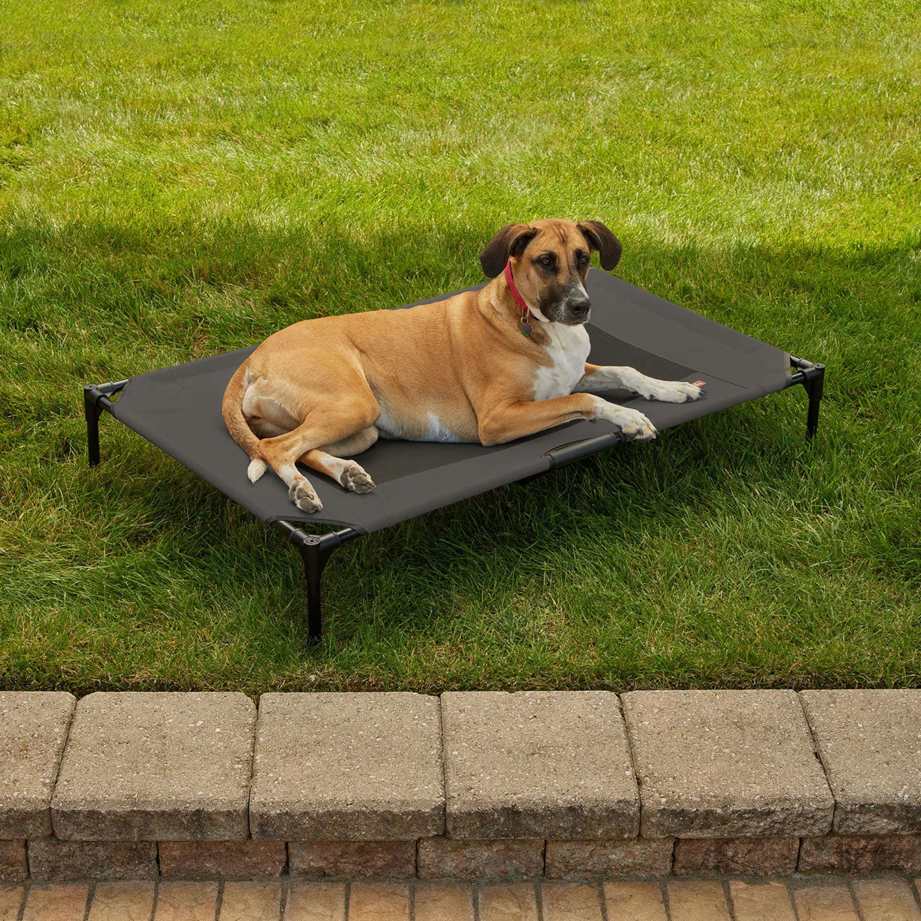 K&H Pet Products Original Steel Frame Cot Outdoor Elevated Dog Bed, Charcoal/Black, X-Large — view 5