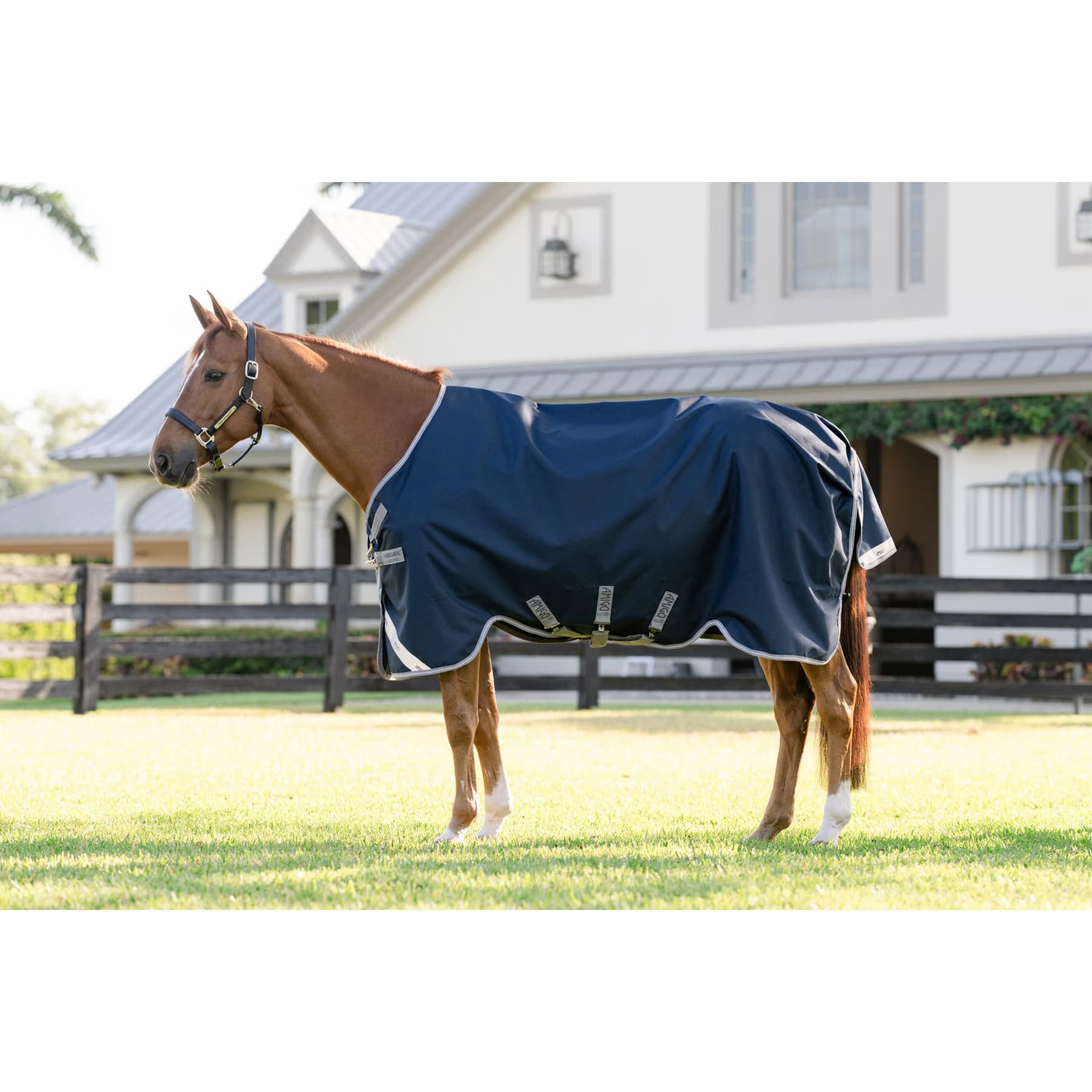 Amigo Amigo 1200D 0g Horse Turnout, Navy, Titanium Grey, Silver, 84-in
