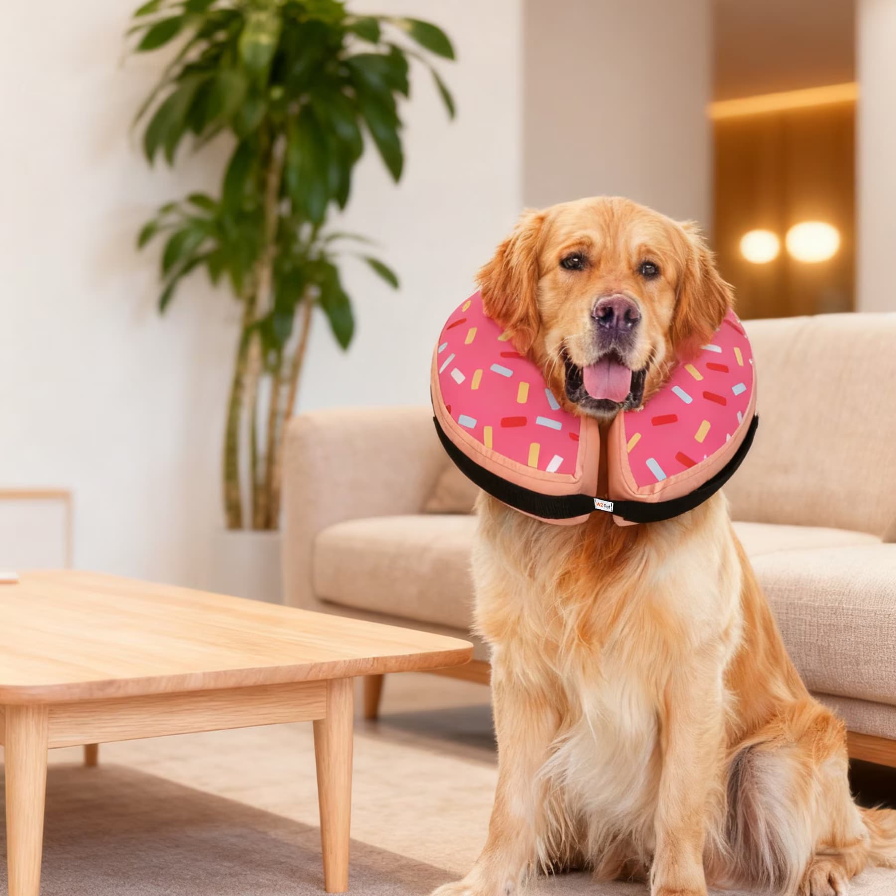 WZ PET WZ PET Waterproof Dog & Cat Inflatable Recovery Cone E-Collar, Pink, Medium+