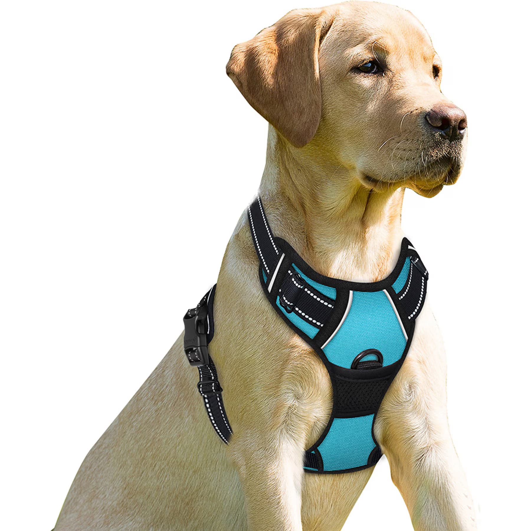 BARKBAY BARKBAY Front Clip Reflective No Pull Dog Harness, Blue, X-Small: 15.5 to 19.5-in chest
