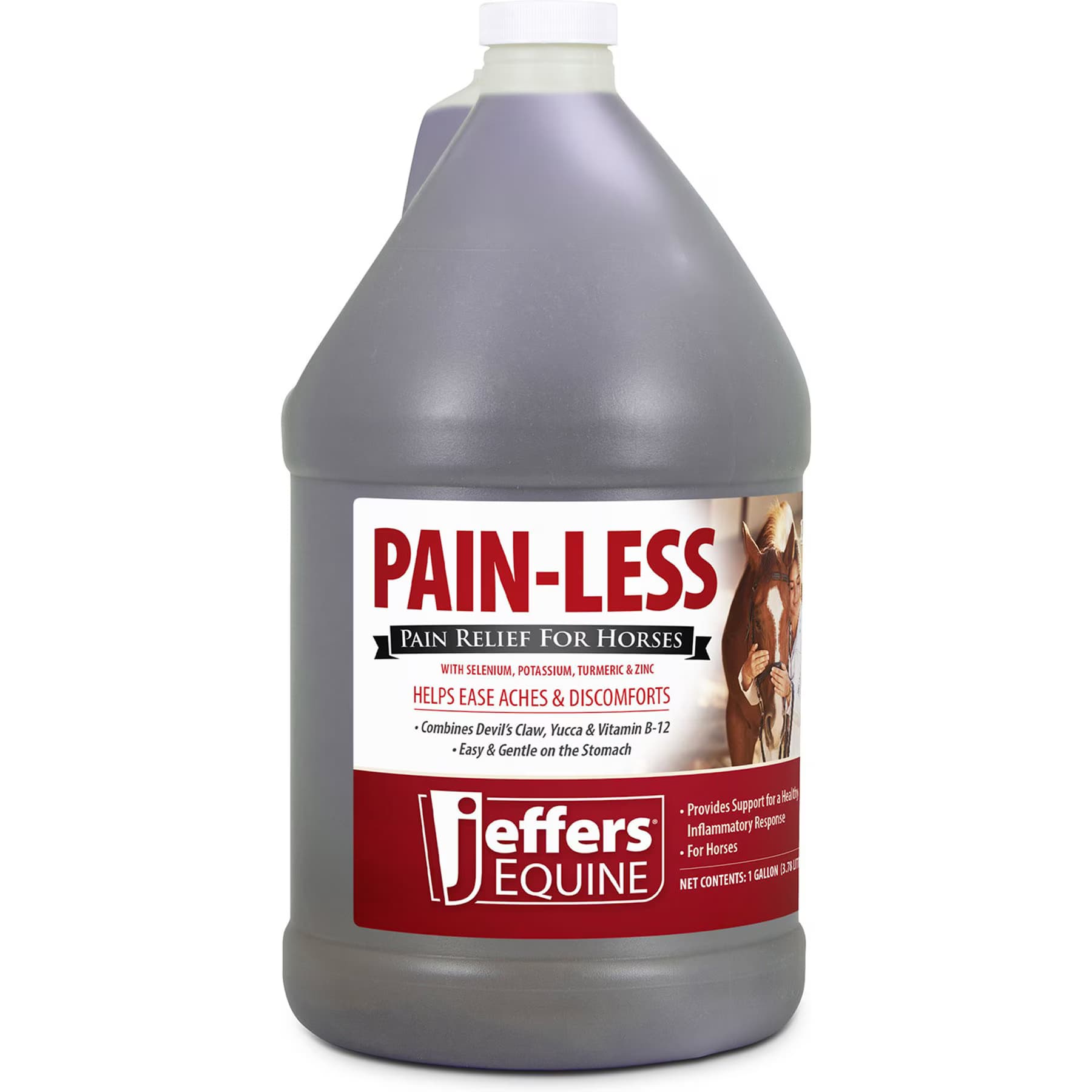 Jeffers Jeffers Pain-Less Pain Relief Liquid Horse Supplement, 1-gal bottle