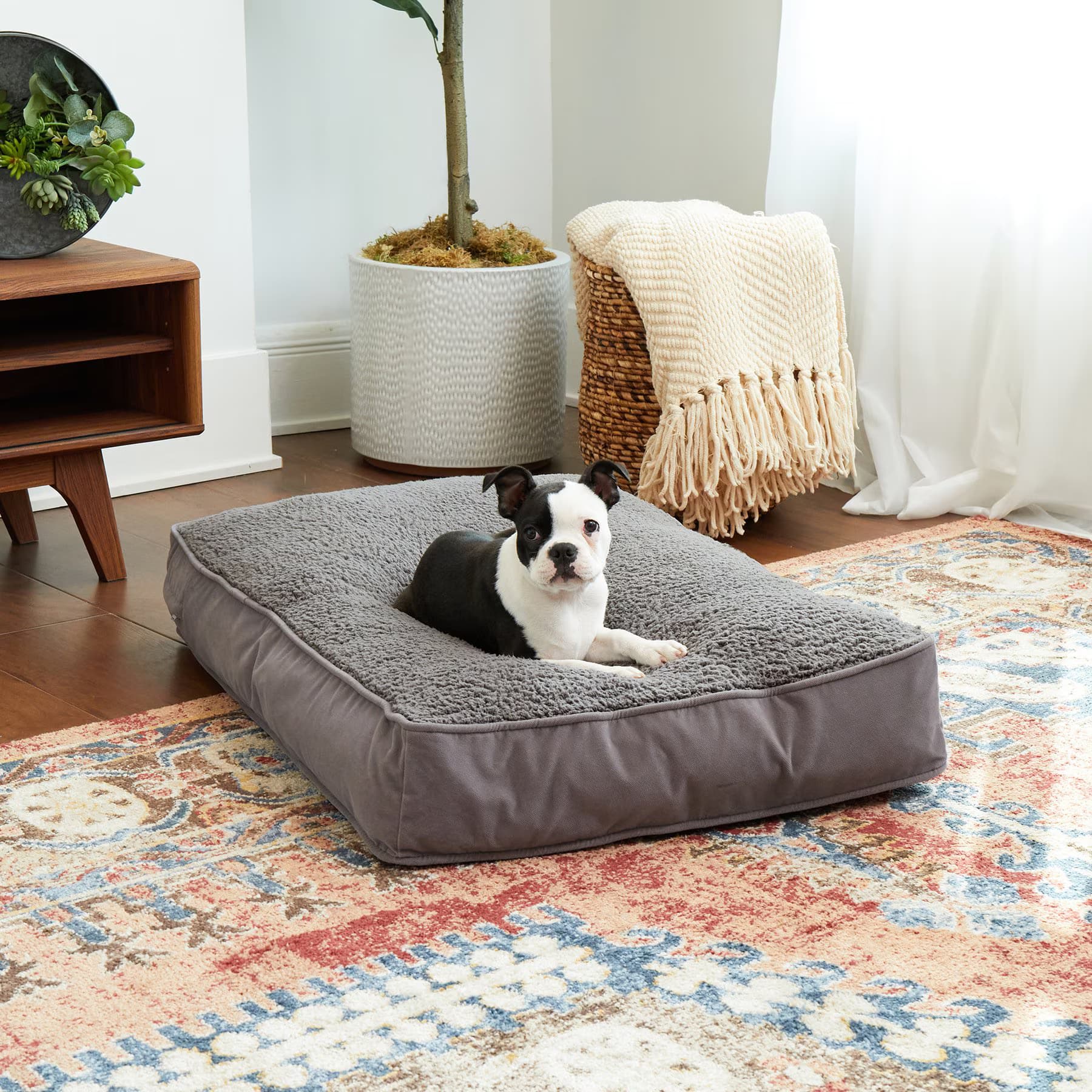 Happy Hounds Happy Hounds Bailey Rectangle Pillow Dog Bed with Removable Cover, Gray, Medium