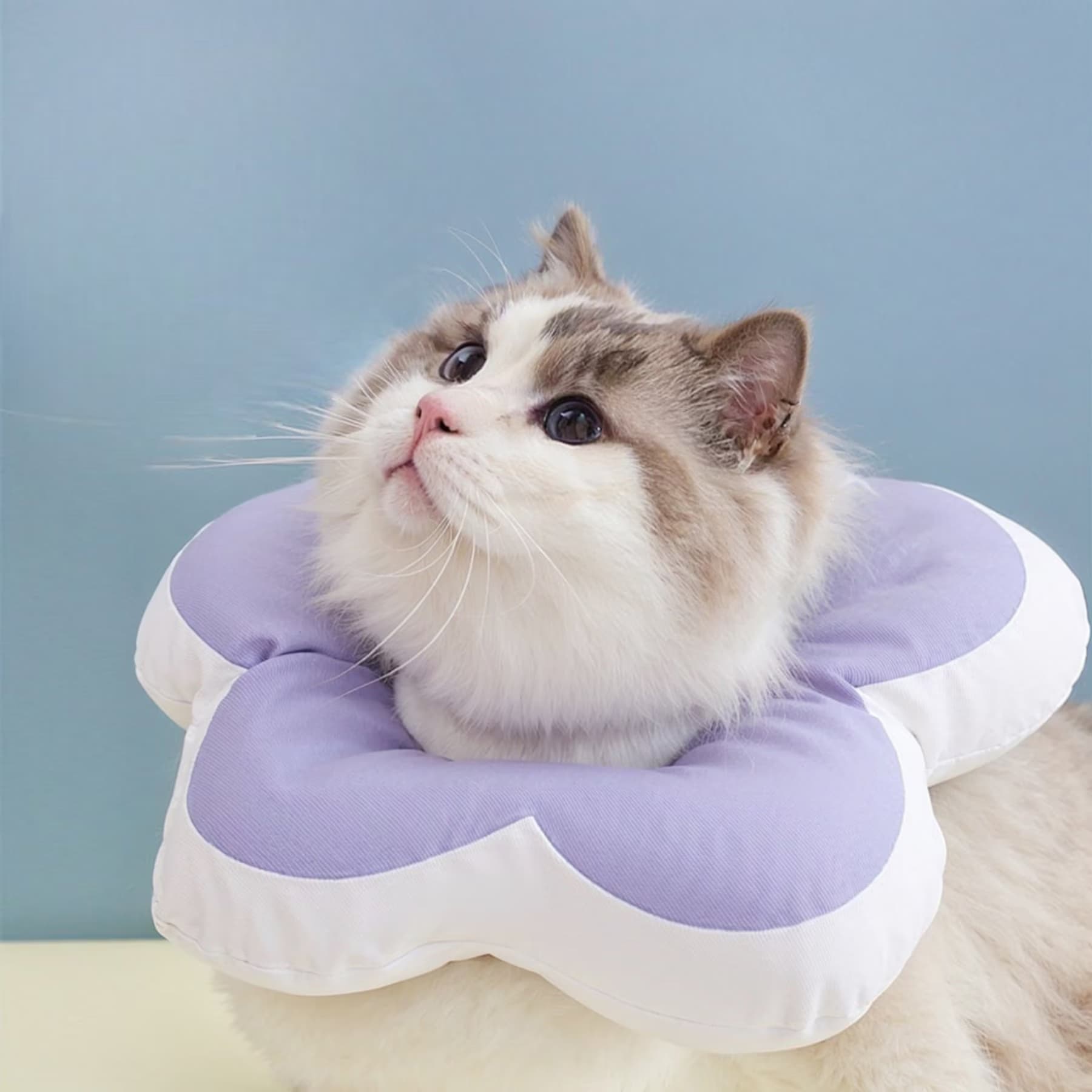 Happy & Polly Happy & Polly Protective Recovery Cone Cat Collar, Purple, Medium