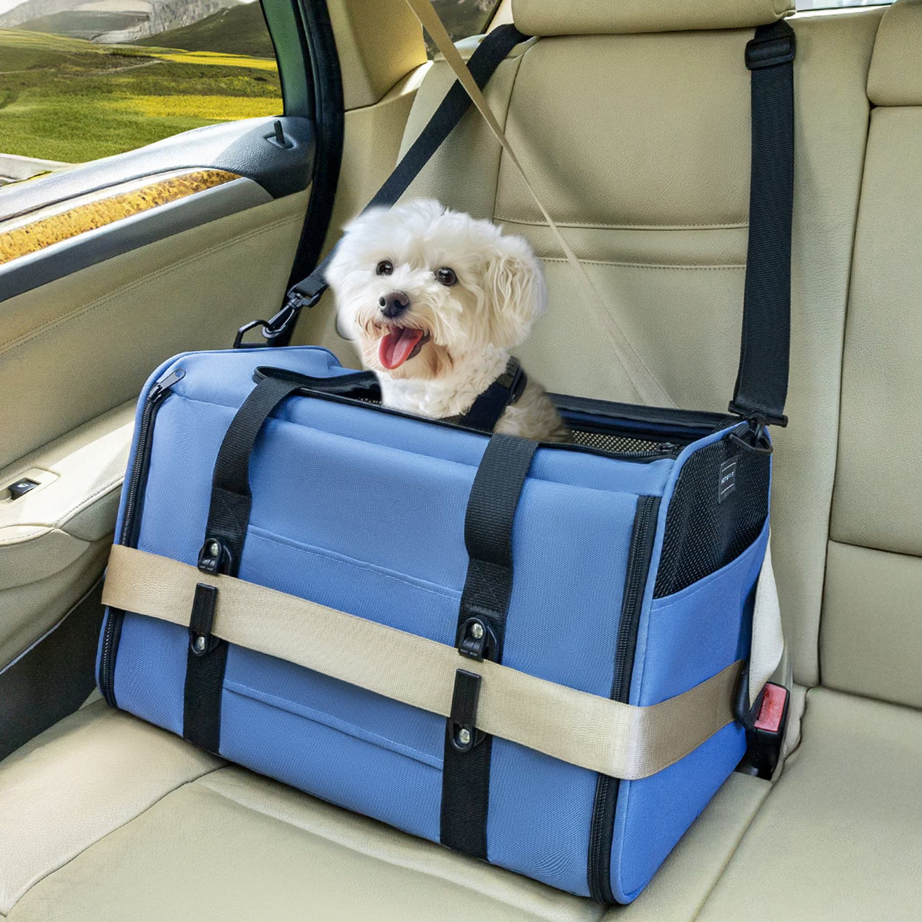 Petsfit Airline Approved Dog & Cat Carrier Bag with Patent Safe Buckles, Blue, Medium: 18 x 11 x 11-in — view 2