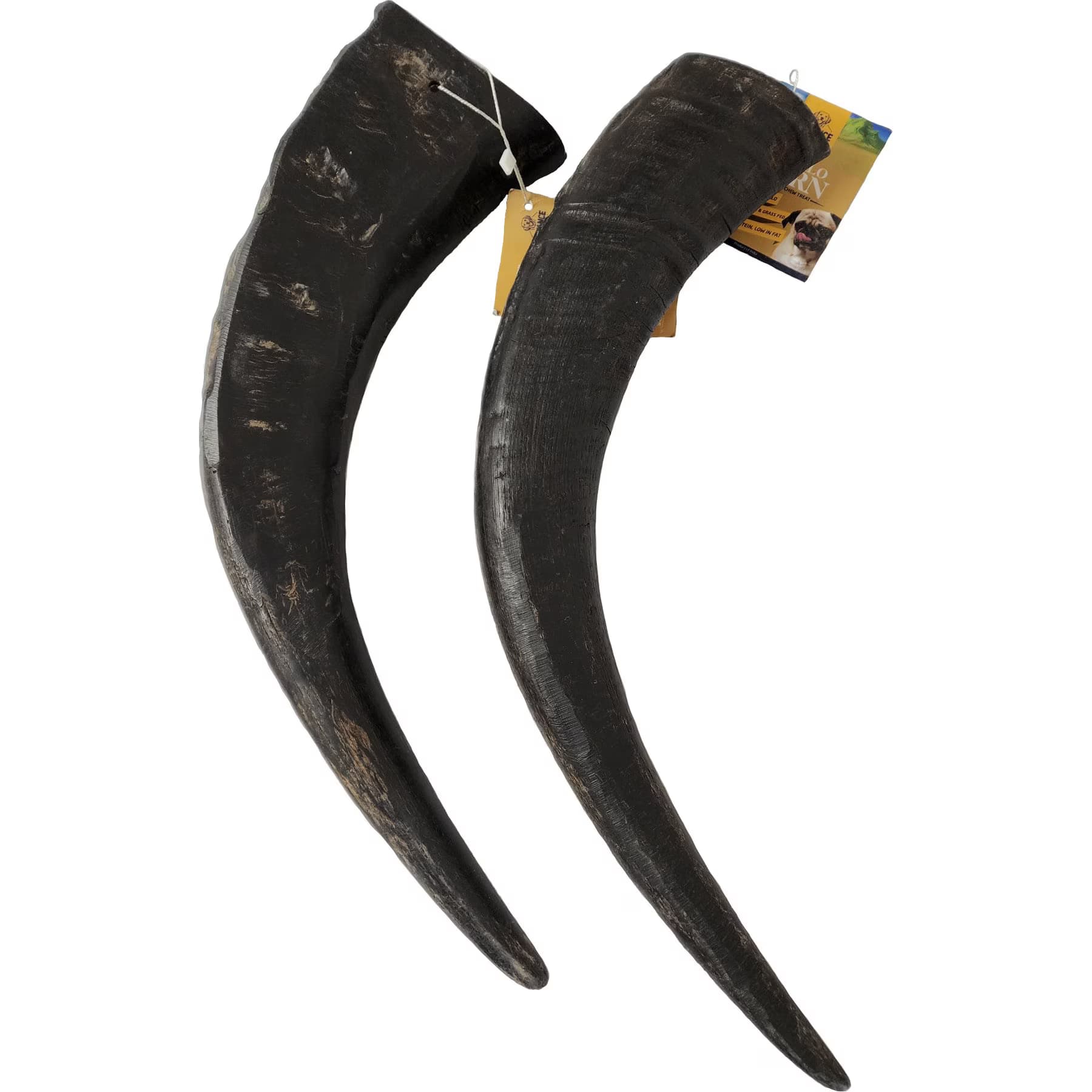 Advance Pet Product Advance Pet Product 17 to 20-in Water Buffalo Horn Jumbo Bulk Hard Chew Treats