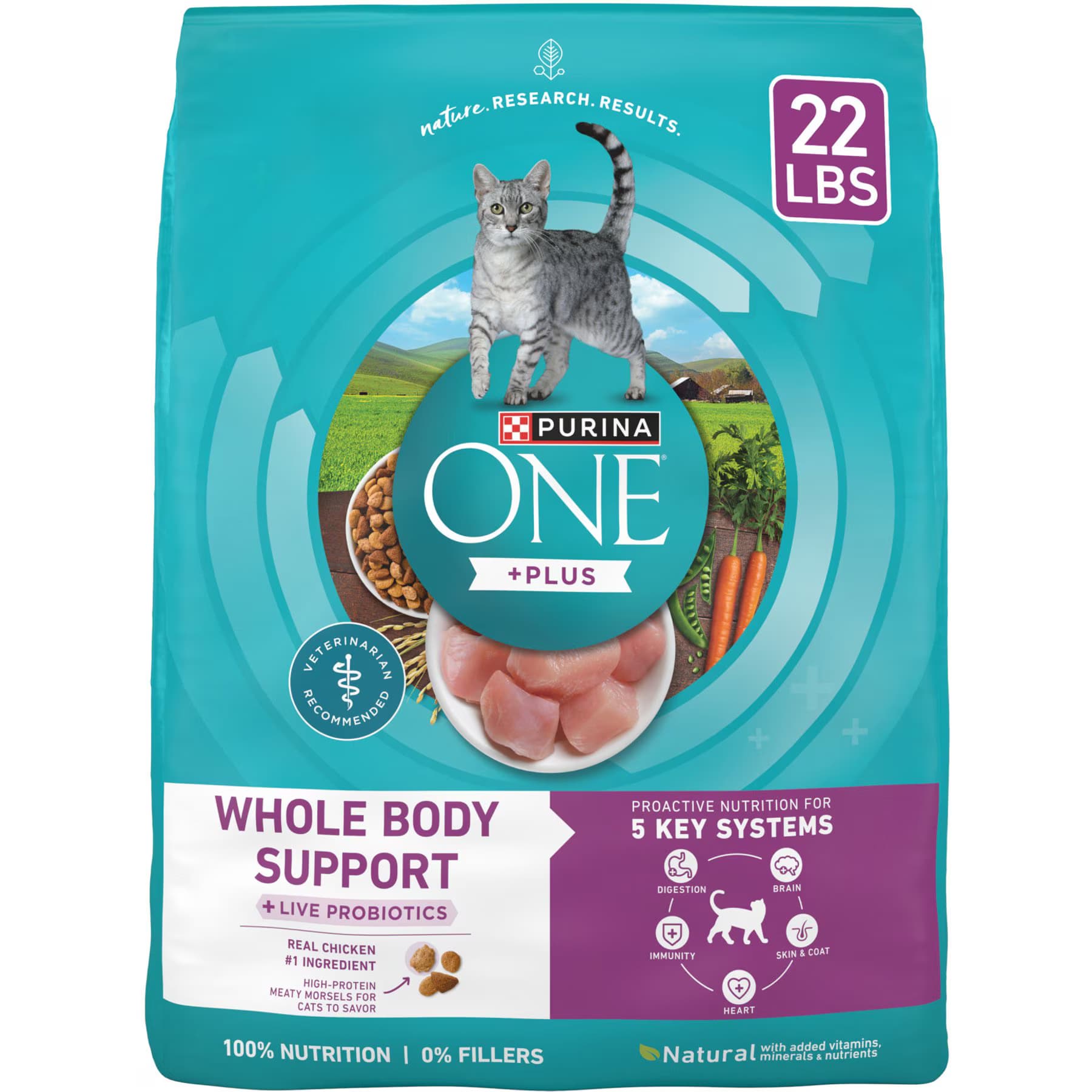 Purina ONE Purina ONE Plus Whole Body Support with Chicken Dry Cat Food