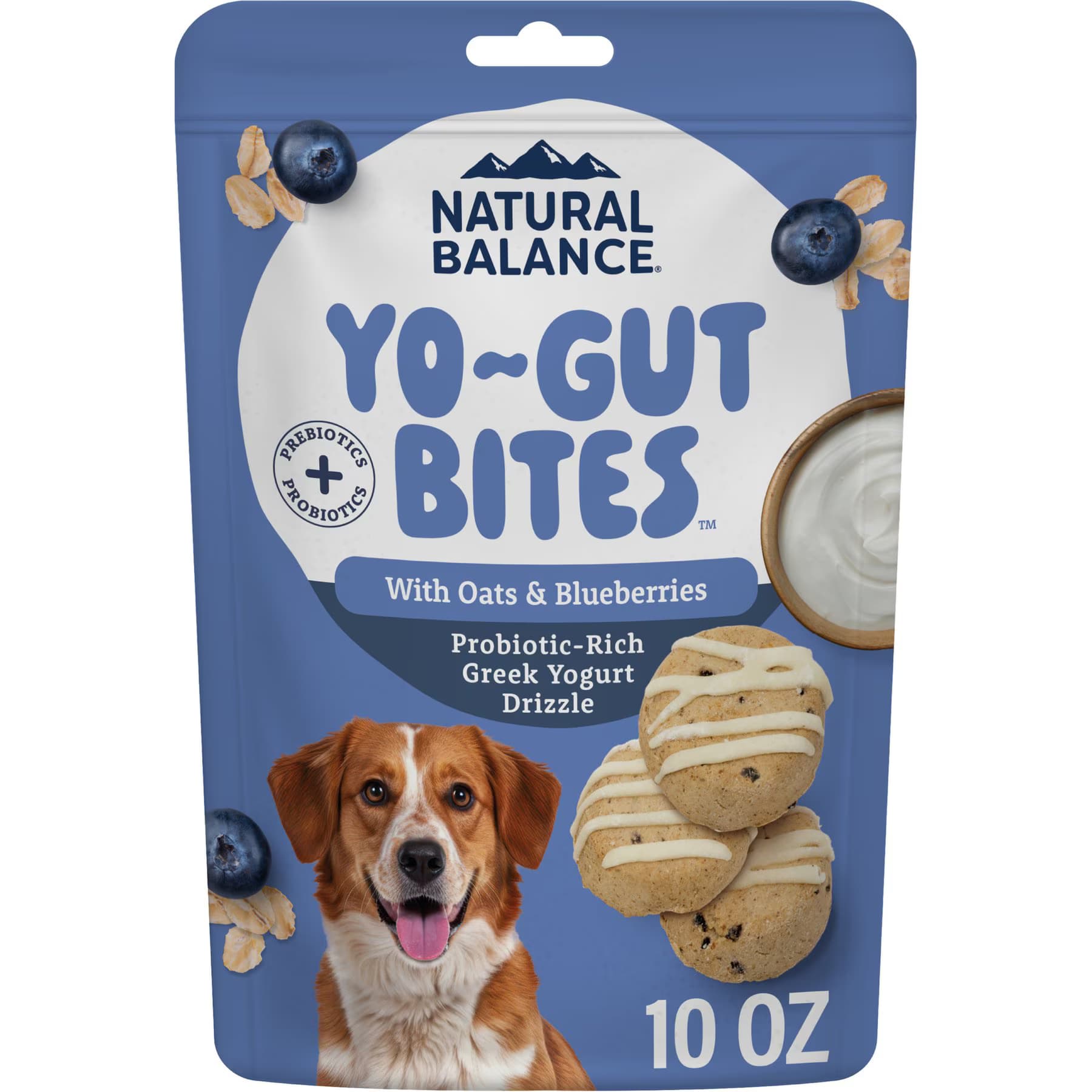 Natural Balance Natural Balance Yo-Gut Bites with Oats, Blueberries & Greek Yogurt Drizzle Crunchy Dog Treats — Oats & Blueberry