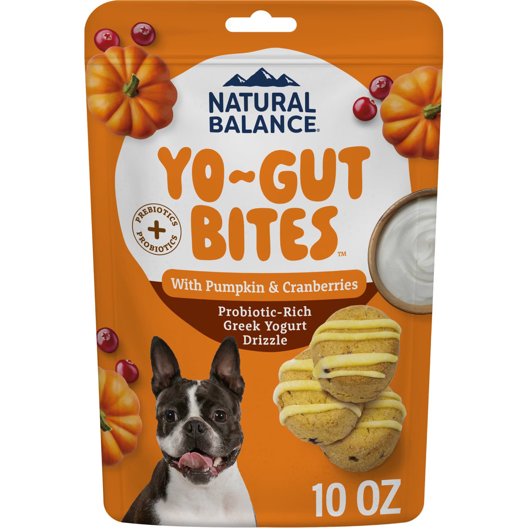 Natural Balance Natural Balance Yo-Gut Bites with Pumpkin, Cranberries & Greek Yogurt Drizzle Crunchy Dog Treats — Pumpkin & Cranberries