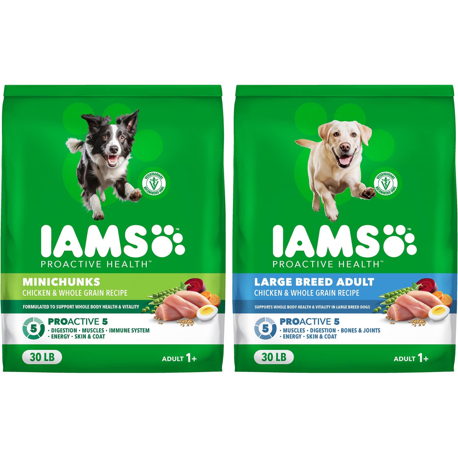Iams Iams MiniChunks Small Kibble + Large Breed Real Chicken Dry Dog Food