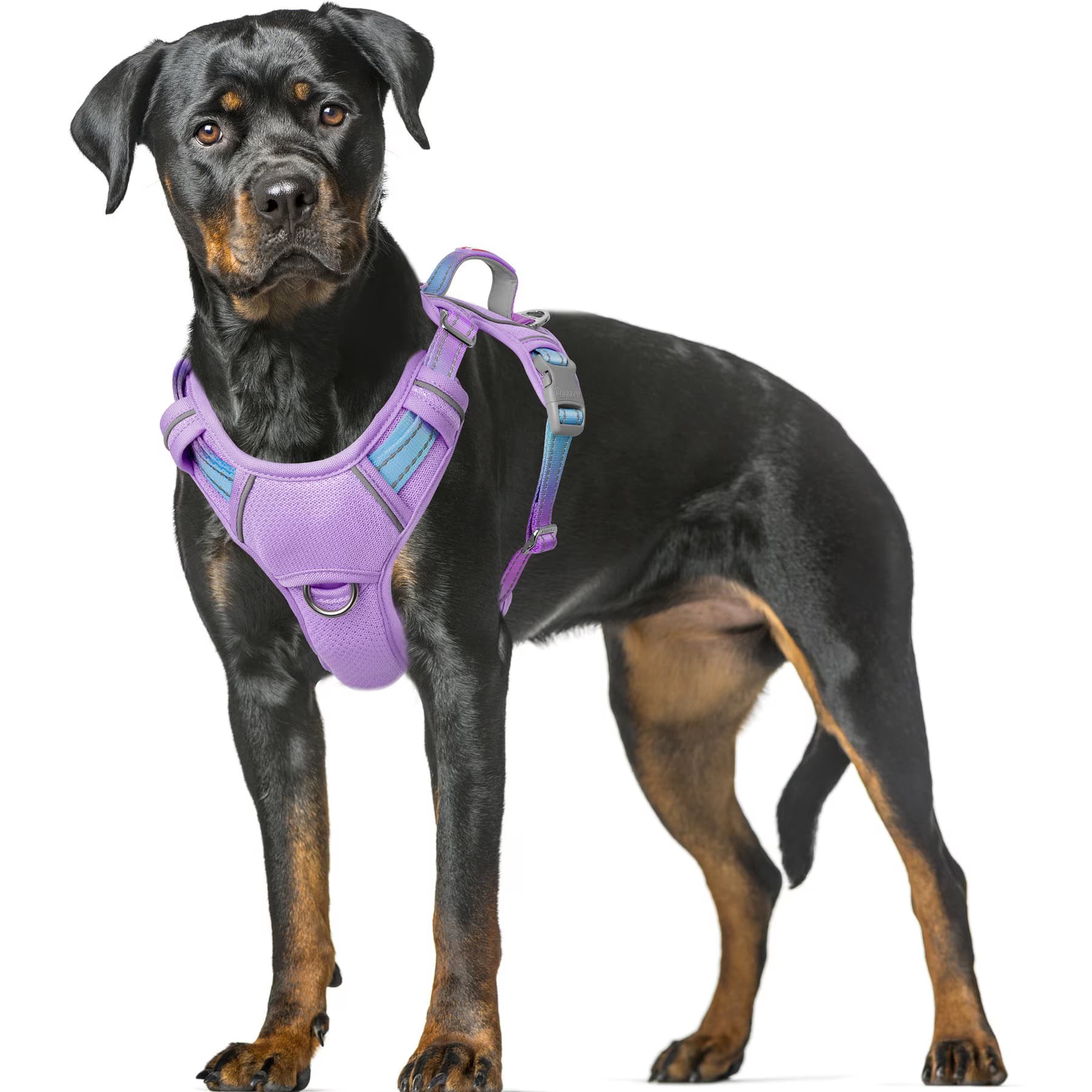 BARKBAY Air Reflective No-Pull Dog Harness with ID Tag Pocket, Lavender Sky, X-Small: 15.5 to 19.5-in chest — view 3